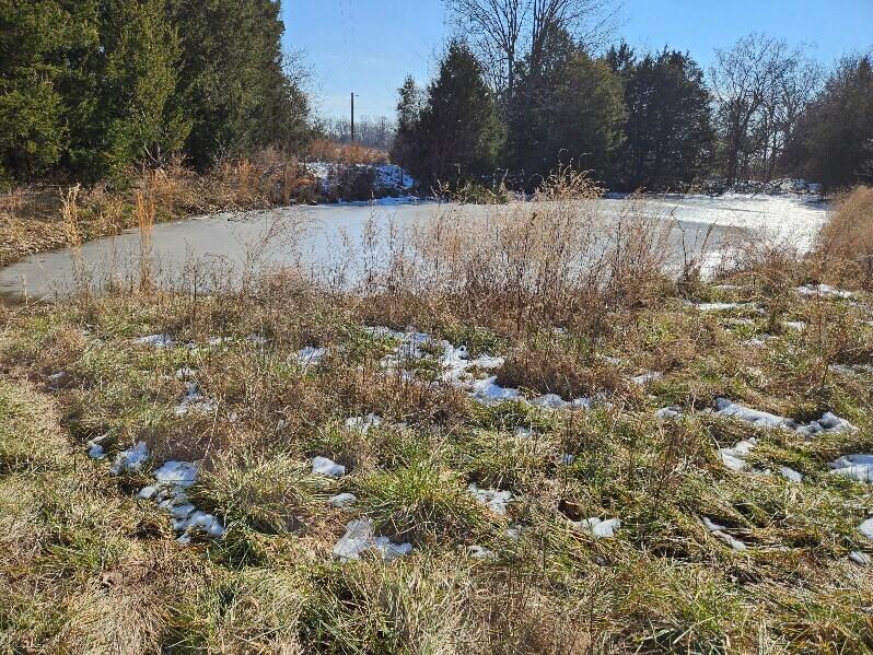 000 County Road 574 Property Photo 14
