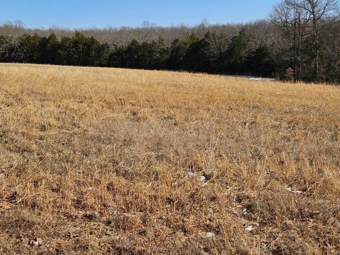 000 County Road 574 Property Photo 16