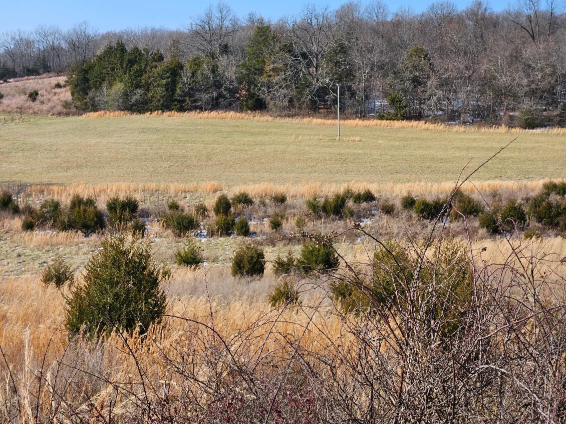 000 County Road 574 Property Photo 17
