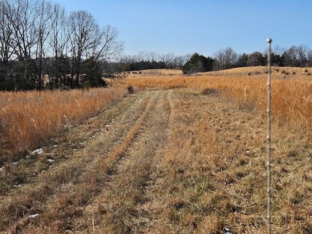 000 County Road 574 Property Photo 18