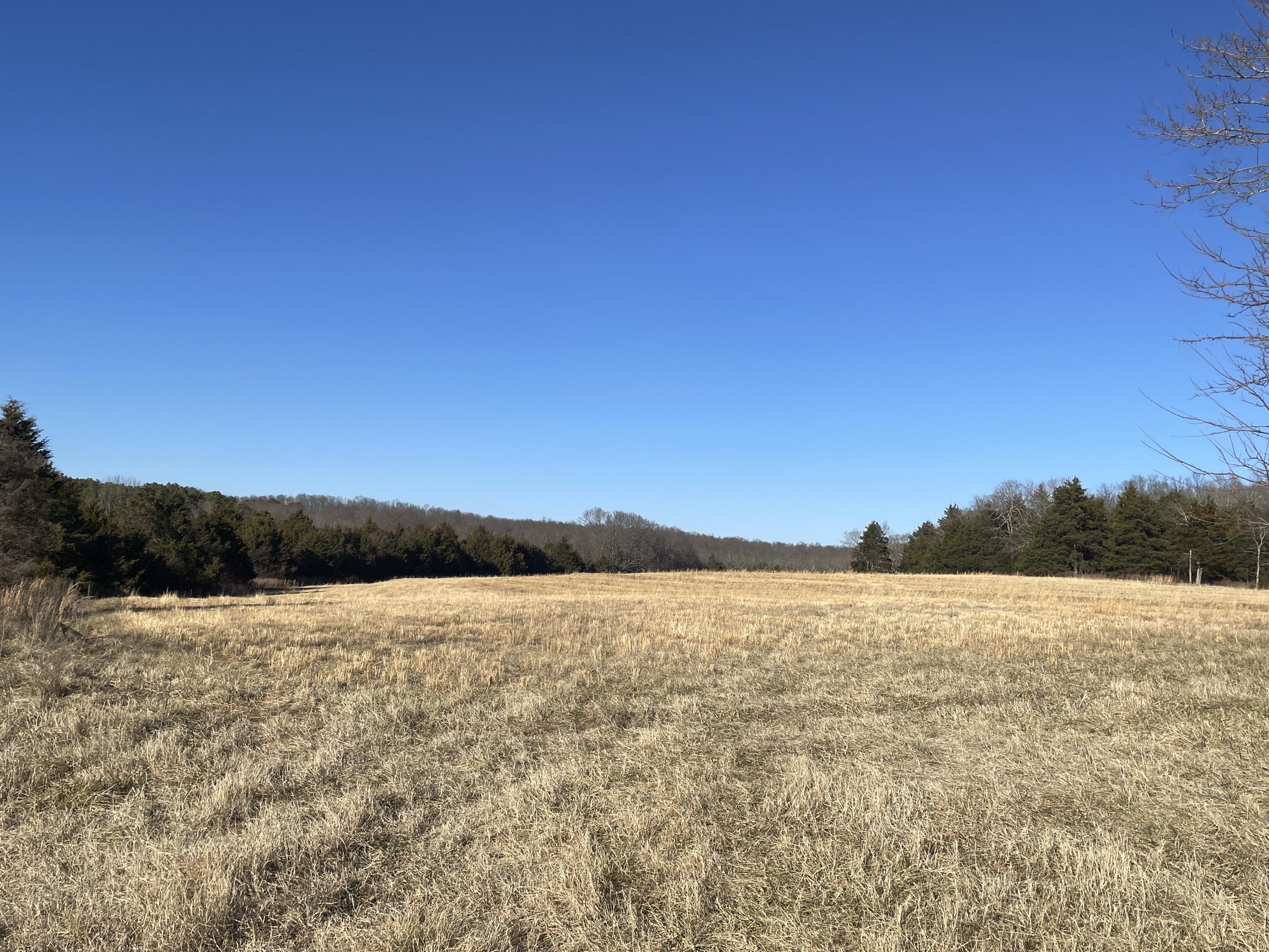000 County Road 574 Property Photo 20