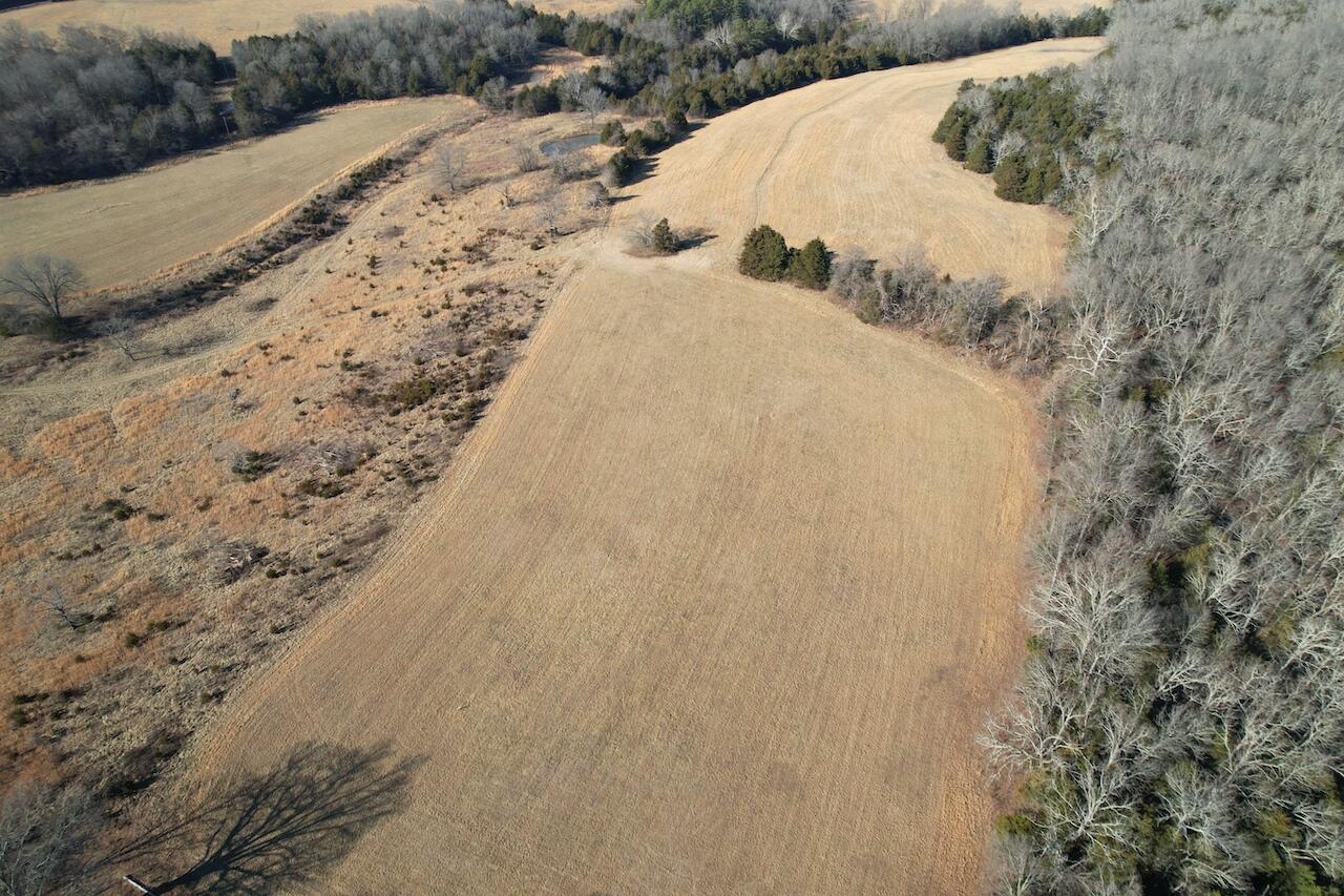 000 County Road 574 Property Photo 21