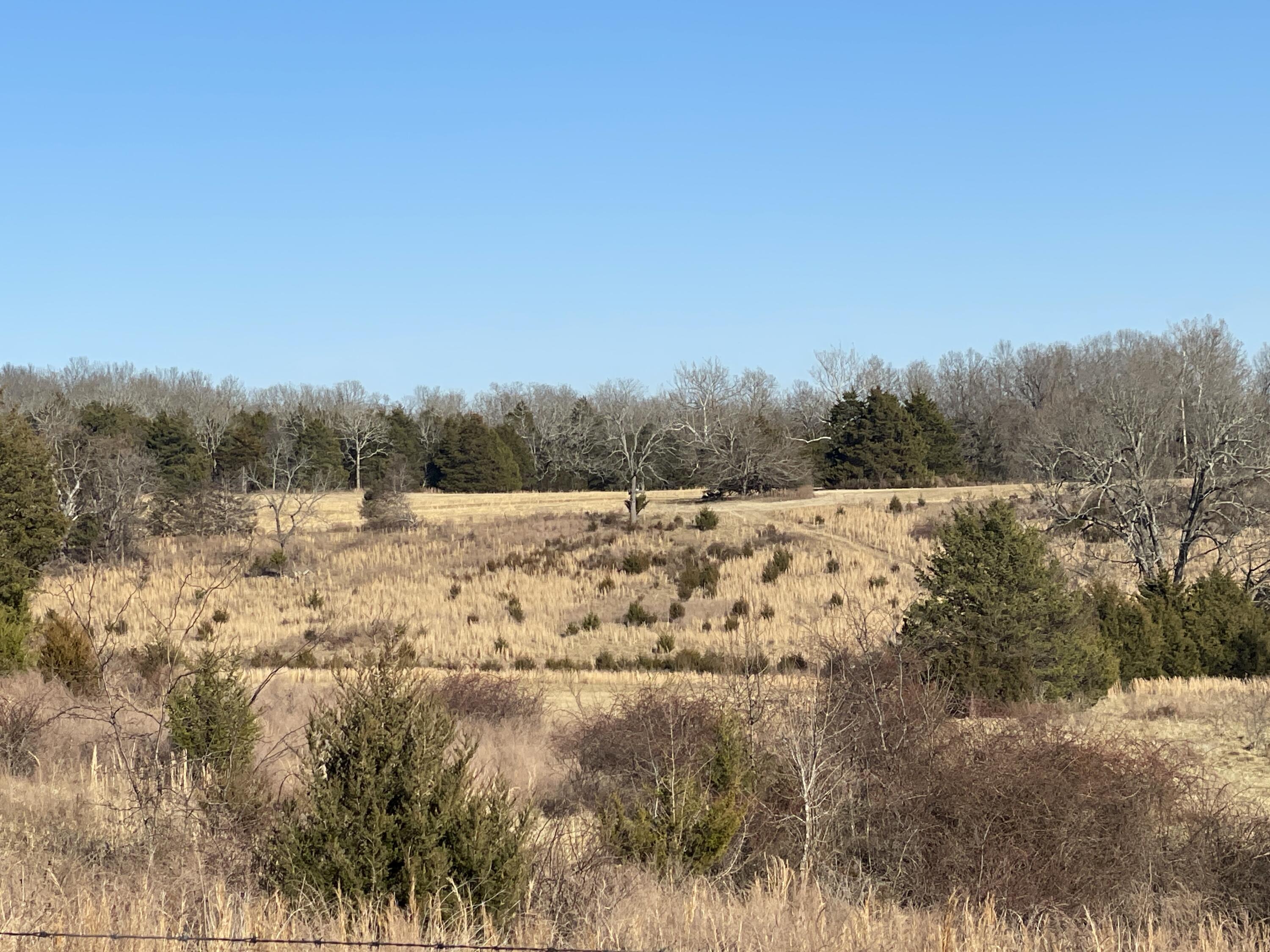 000 County Road 574 Property Photo 23