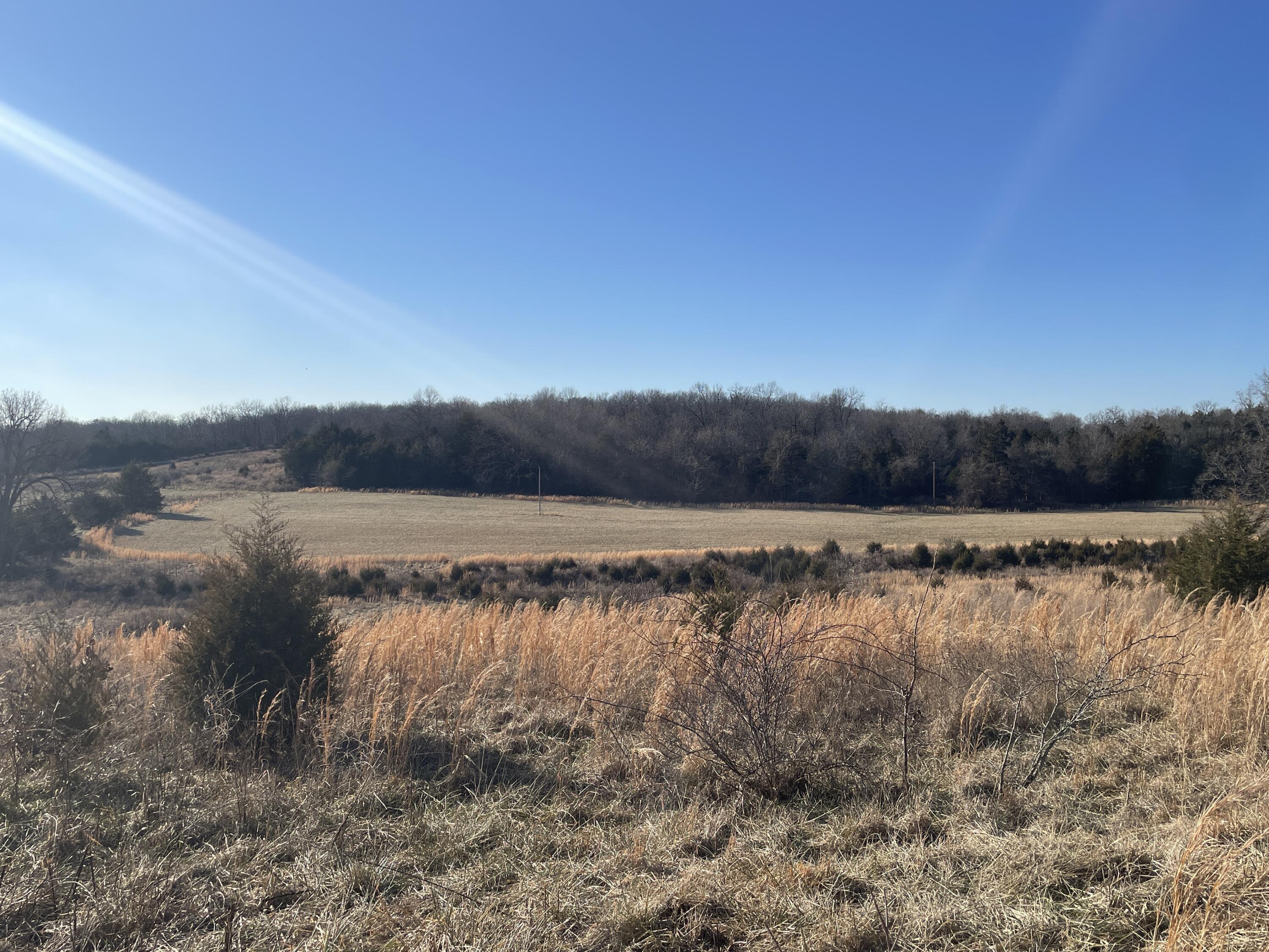 000 County Road 574 Property Photo 25