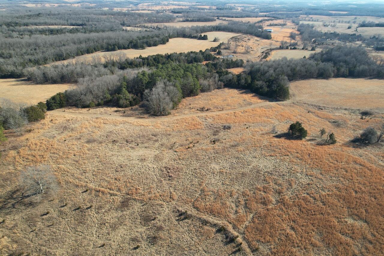 000 County Road 574 Property Photo 26