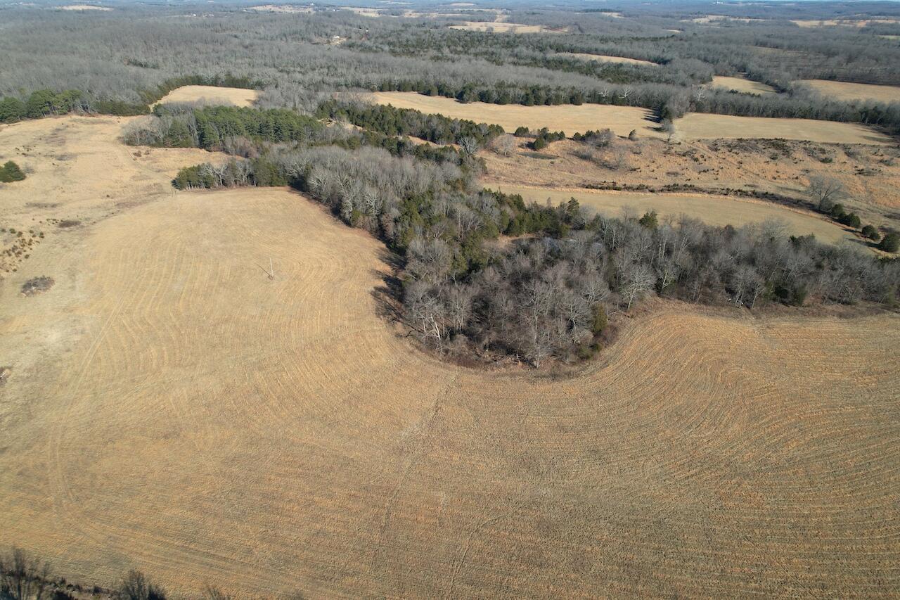 000 County Road 574 Property Photo 28