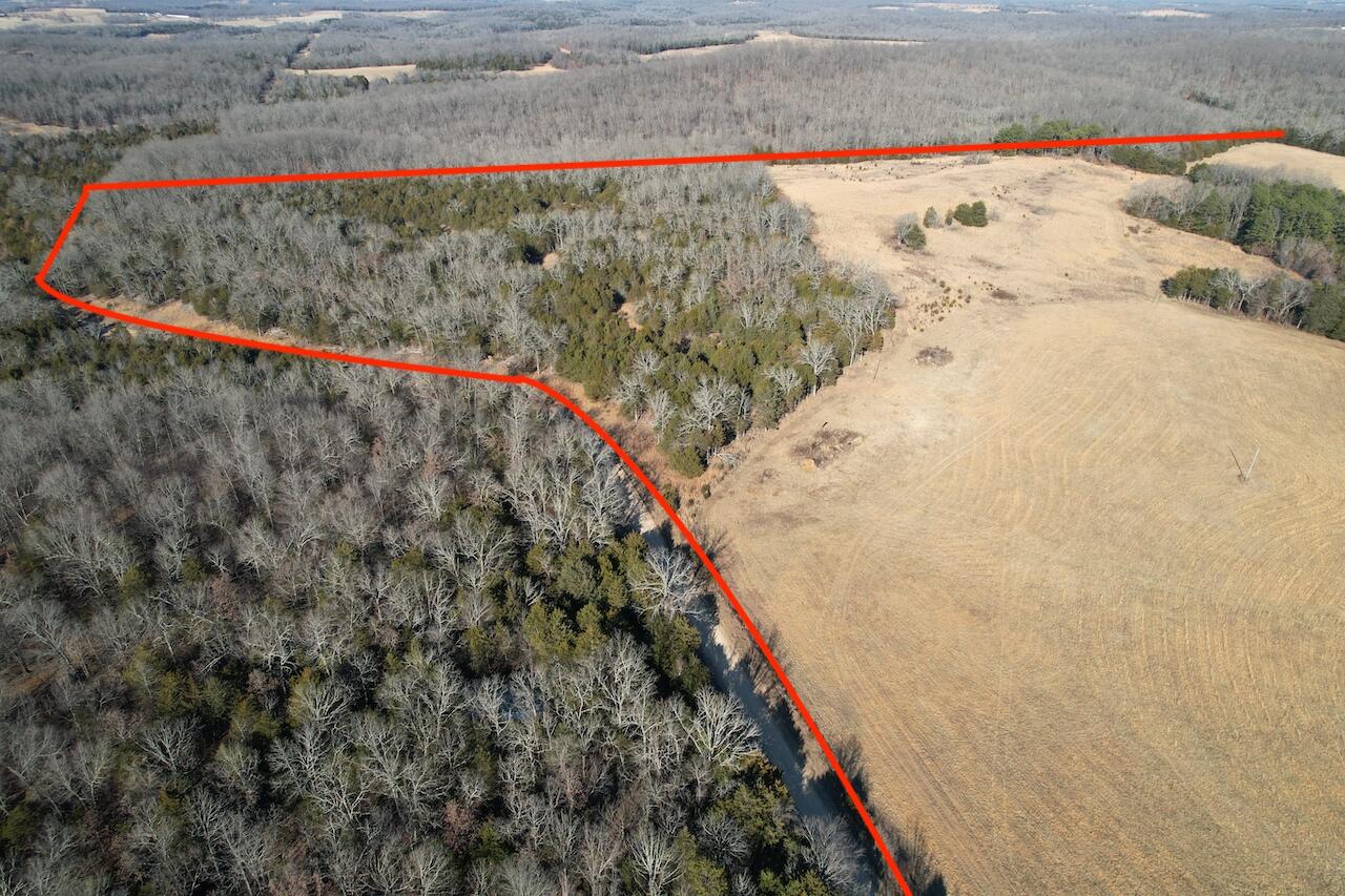 000 County Road 574 Property Photo 32
