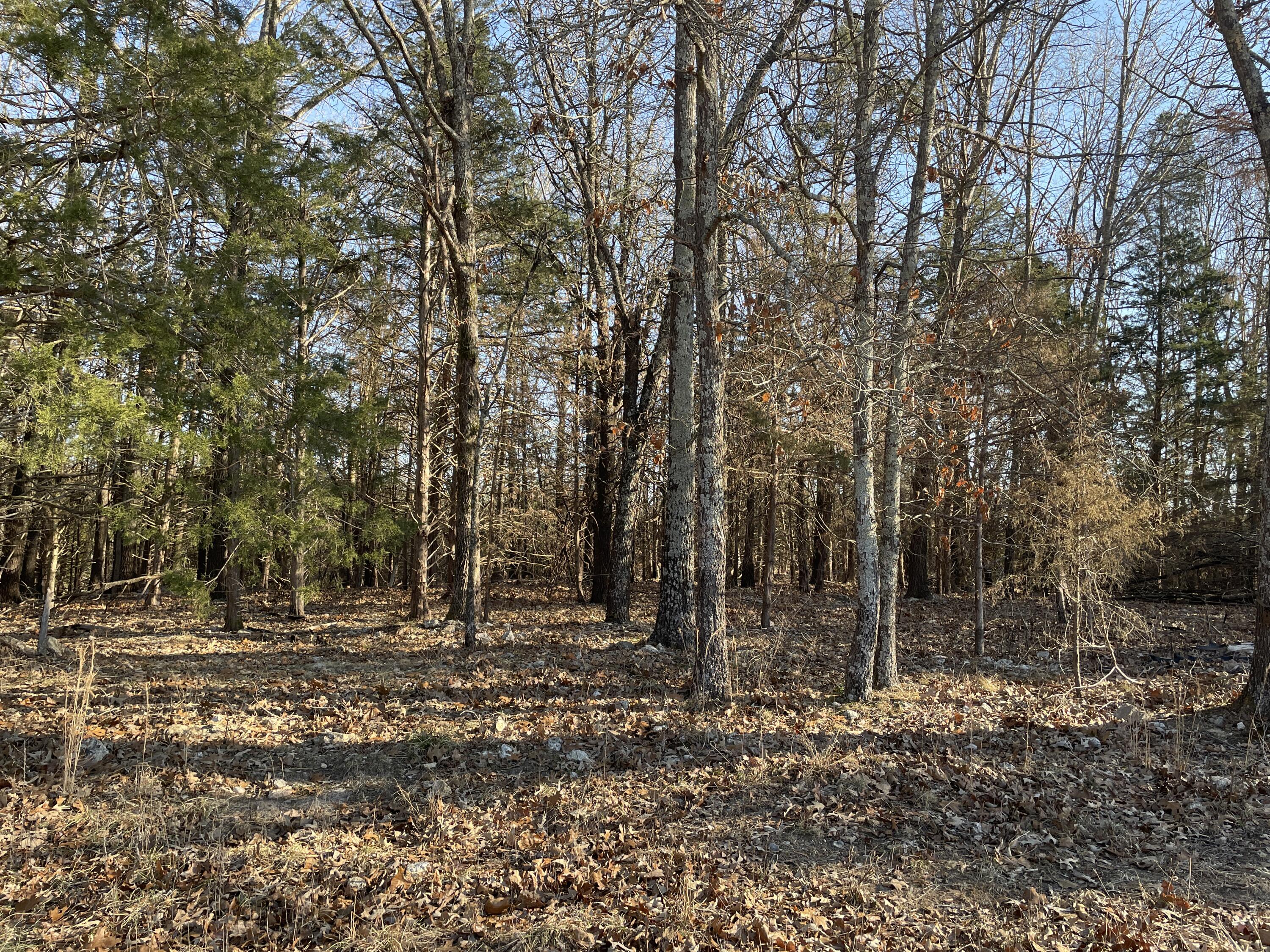 000 County Road 574 Property Photo 33