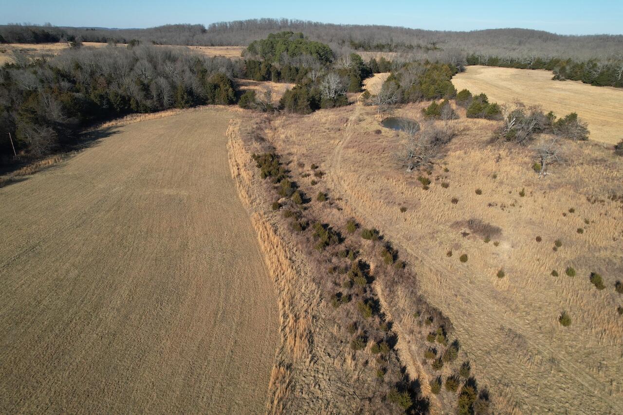 000 County Road 574 Property Photo 35
