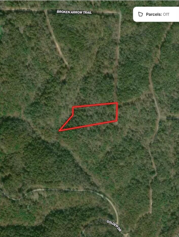 Lot 97 Little Tree Trail Property Photo 2