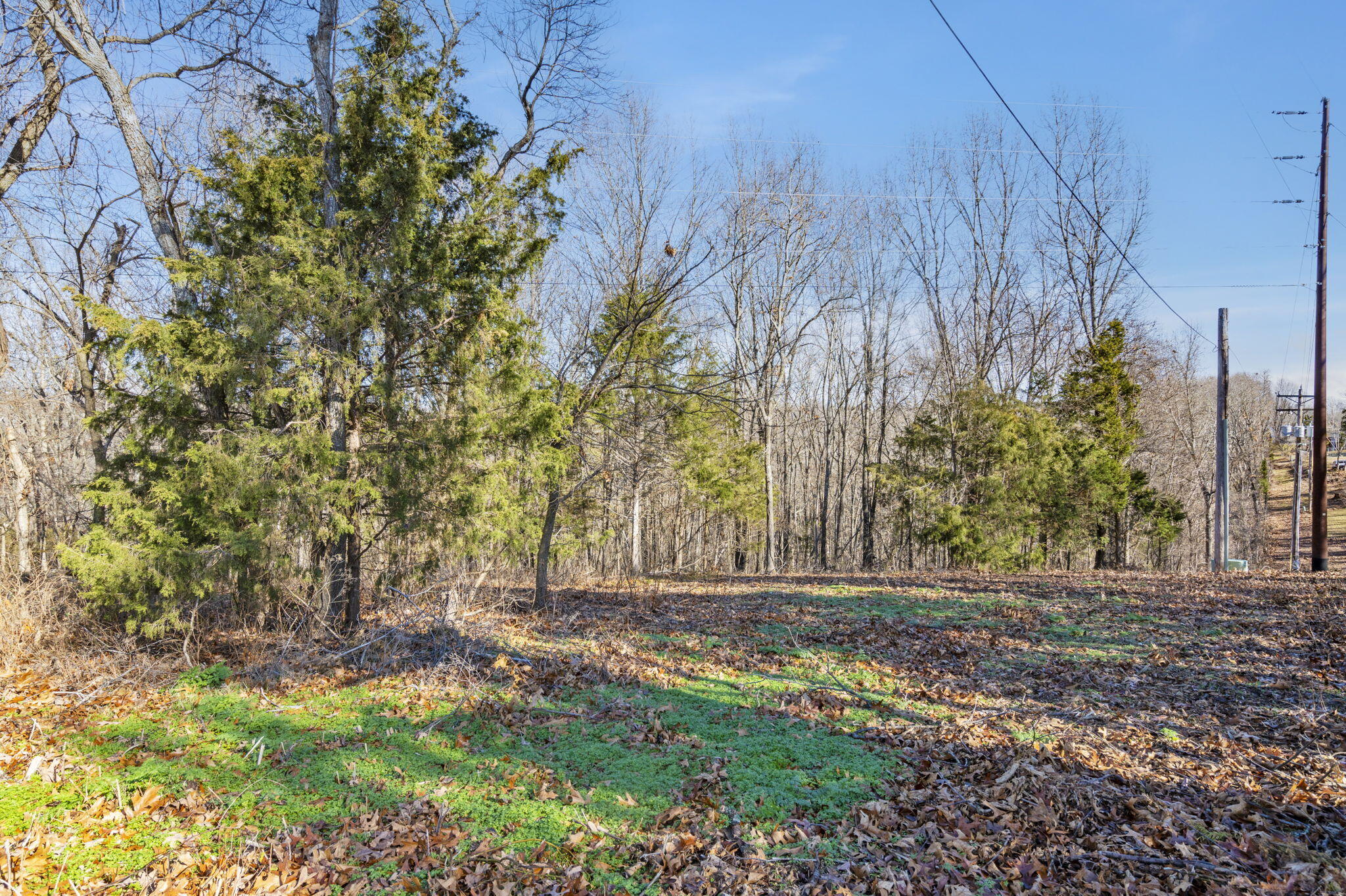 Lot 5 Midview Drive Property Photo 11