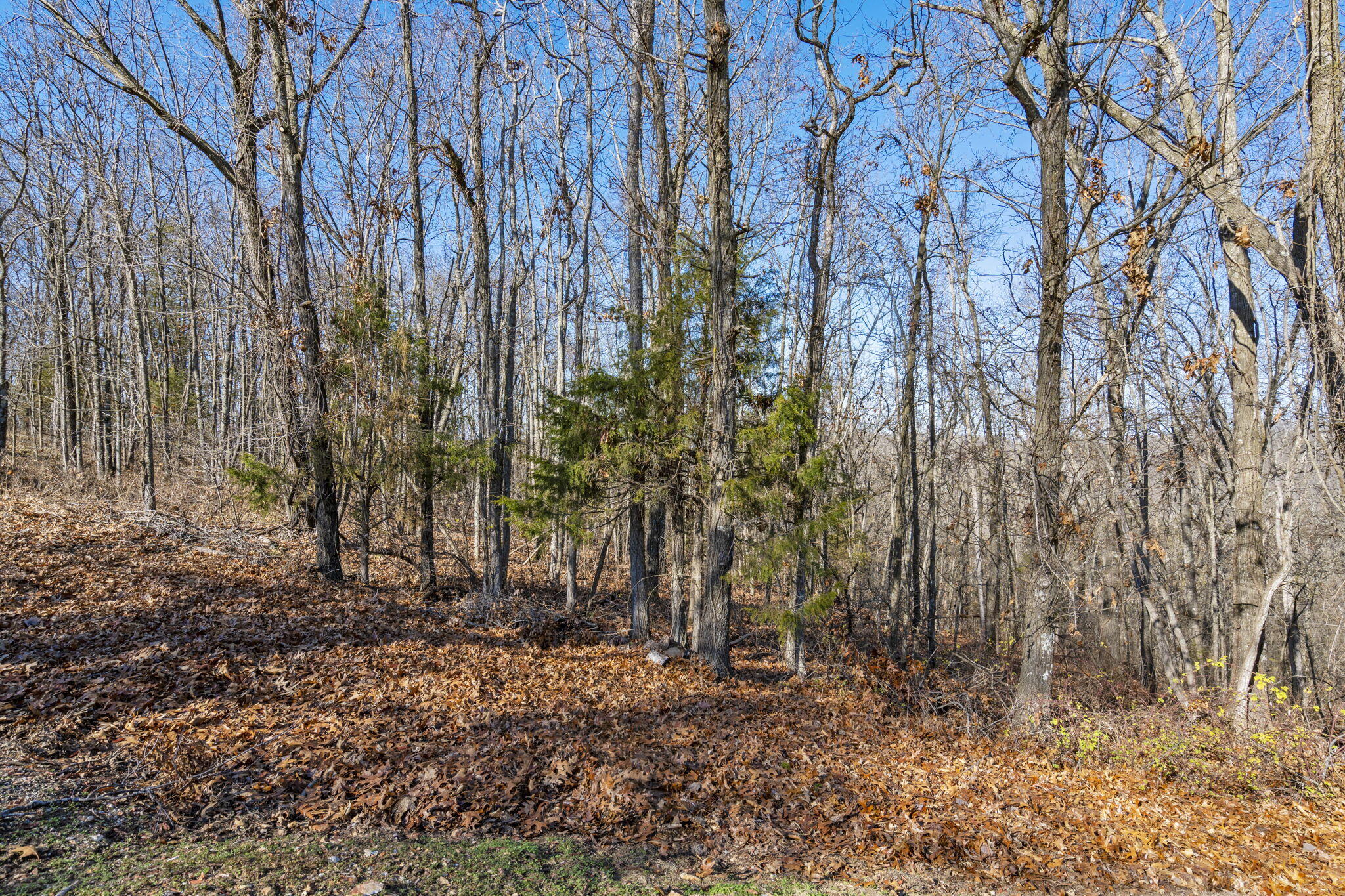 Lot 10 Midview Drive Property Photo 13