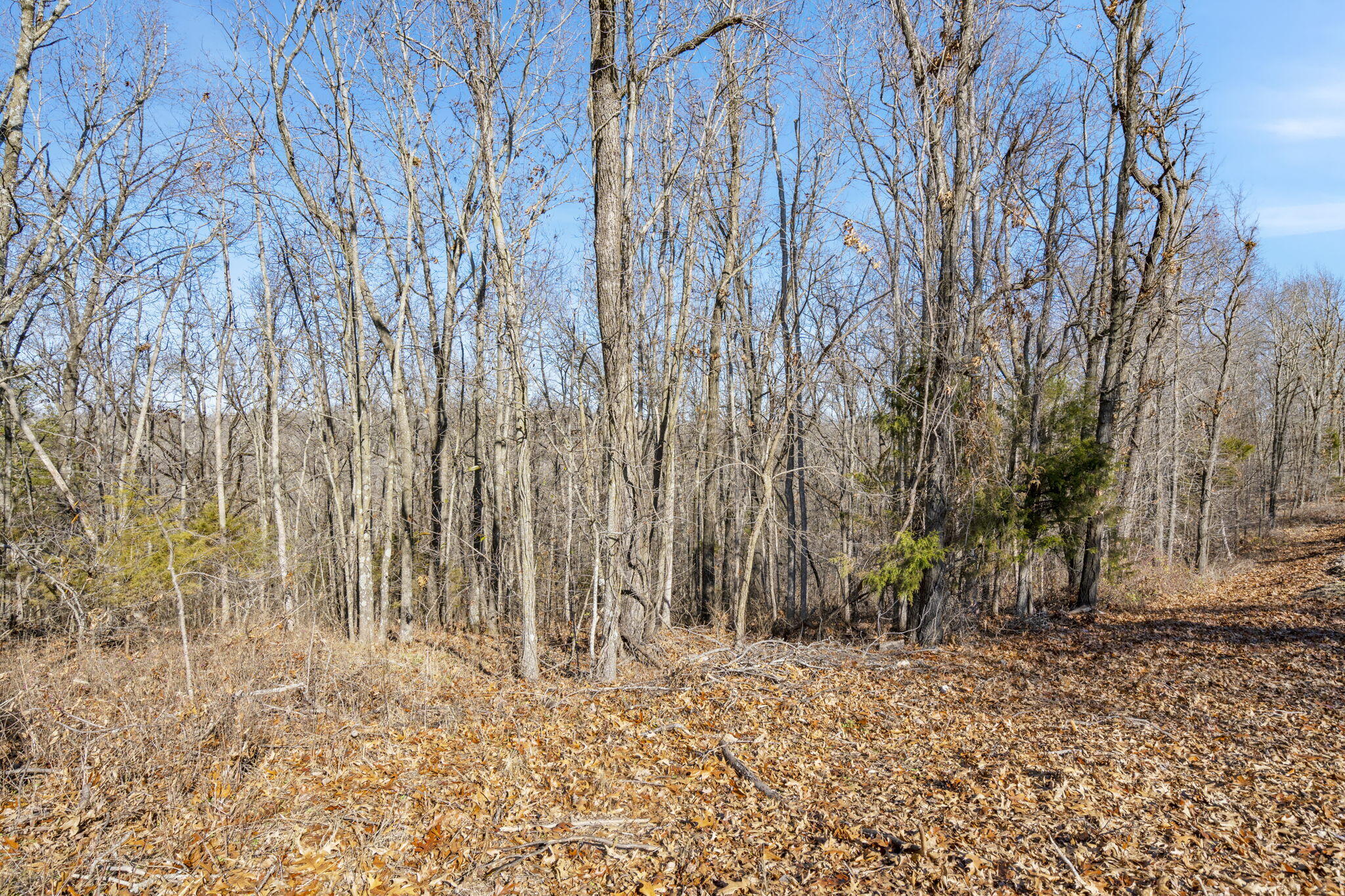 Lot 10 Midview Drive Property Photo 15