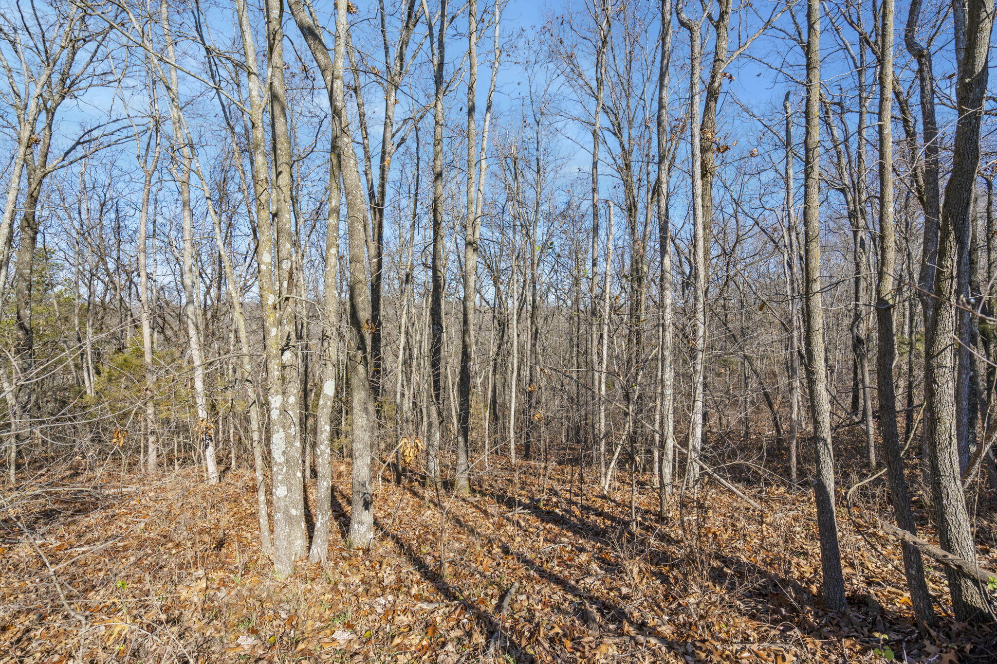 Lot 10 Midview Drive Property Photo 16
