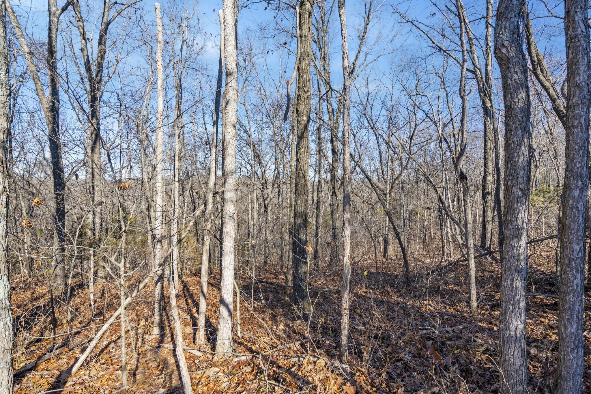 Lot 10 Midview Drive Property Photo 17