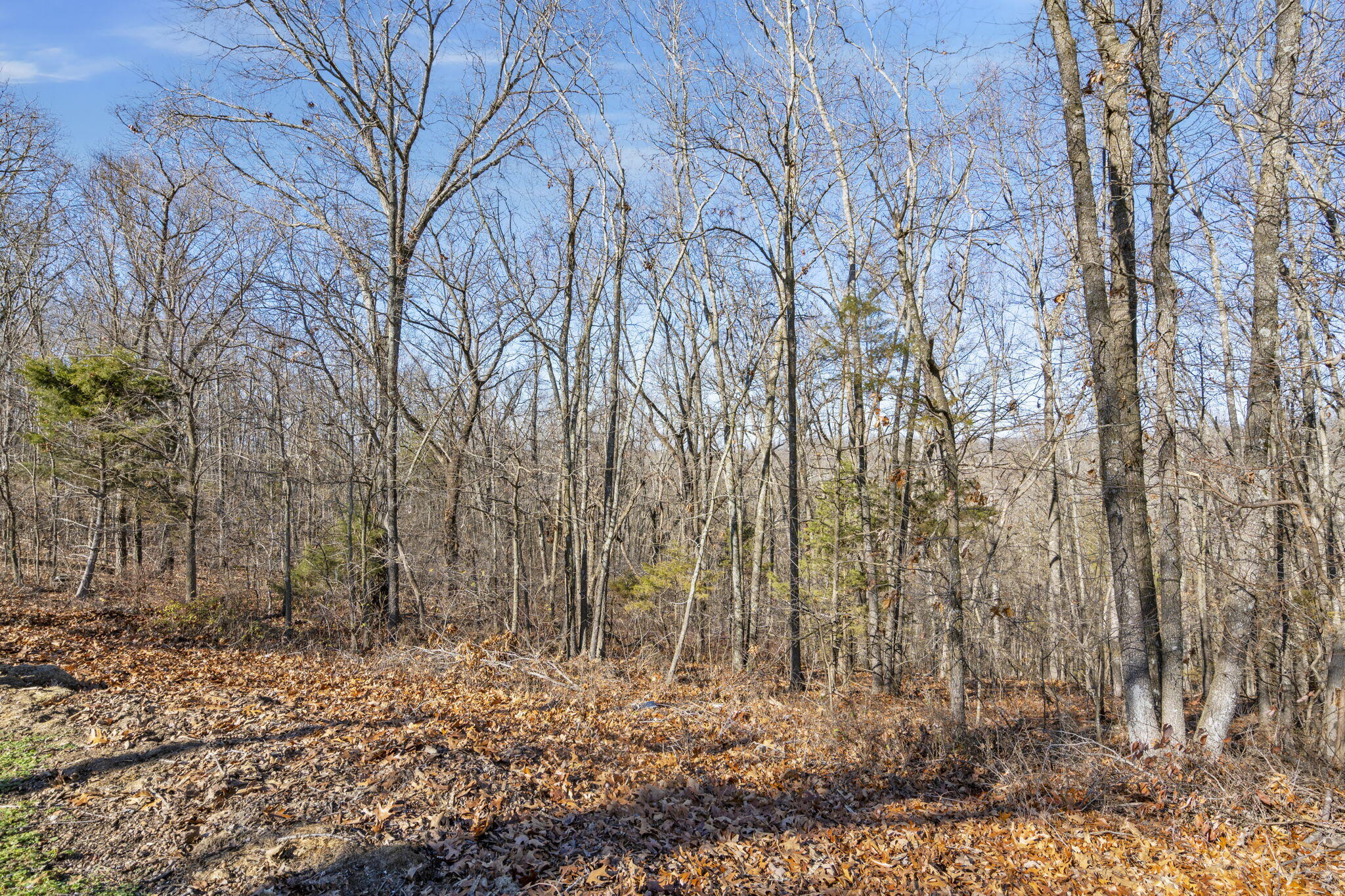 Lot 9 Midview Drive Property Photo 13