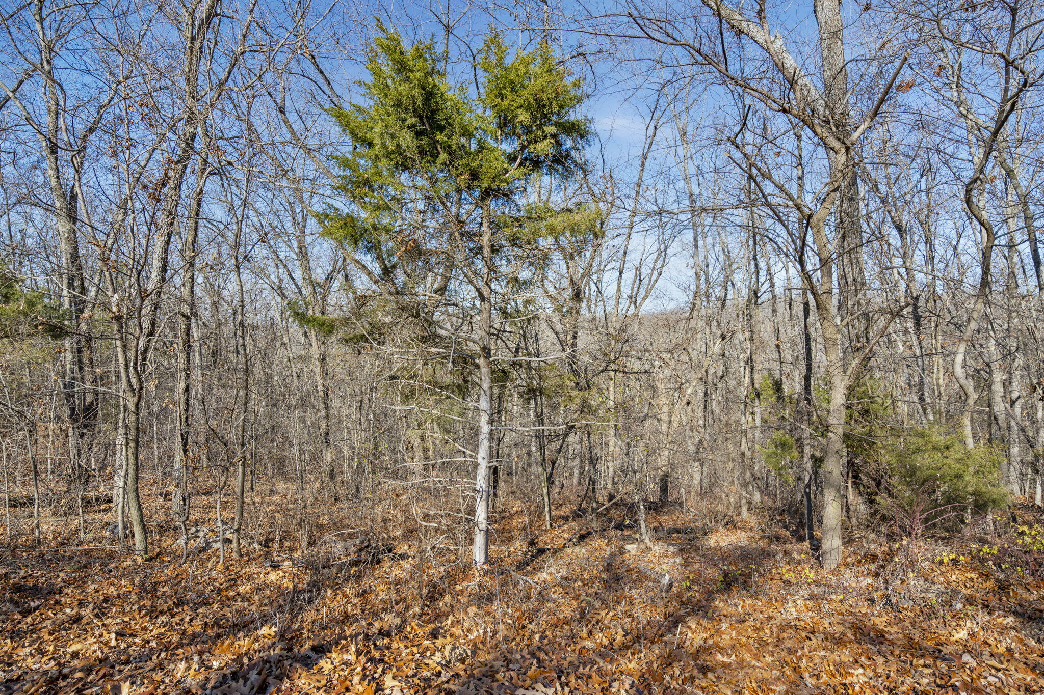 Lot 9 Midview Drive Property Photo 15