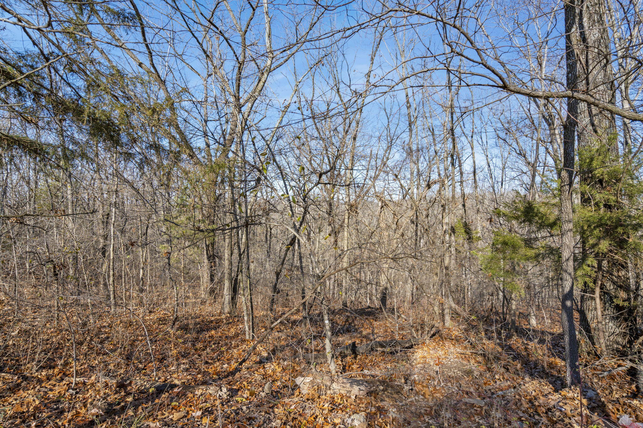 Lot 9 Midview Drive Property Photo 16