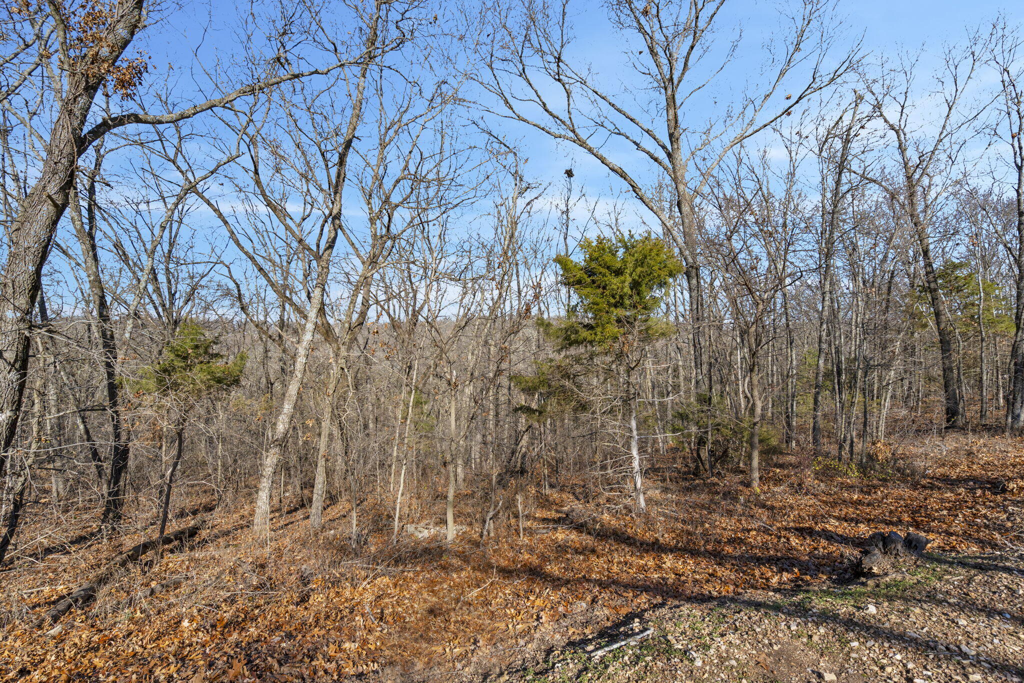 Lot 9 Midview Drive Property Photo 17