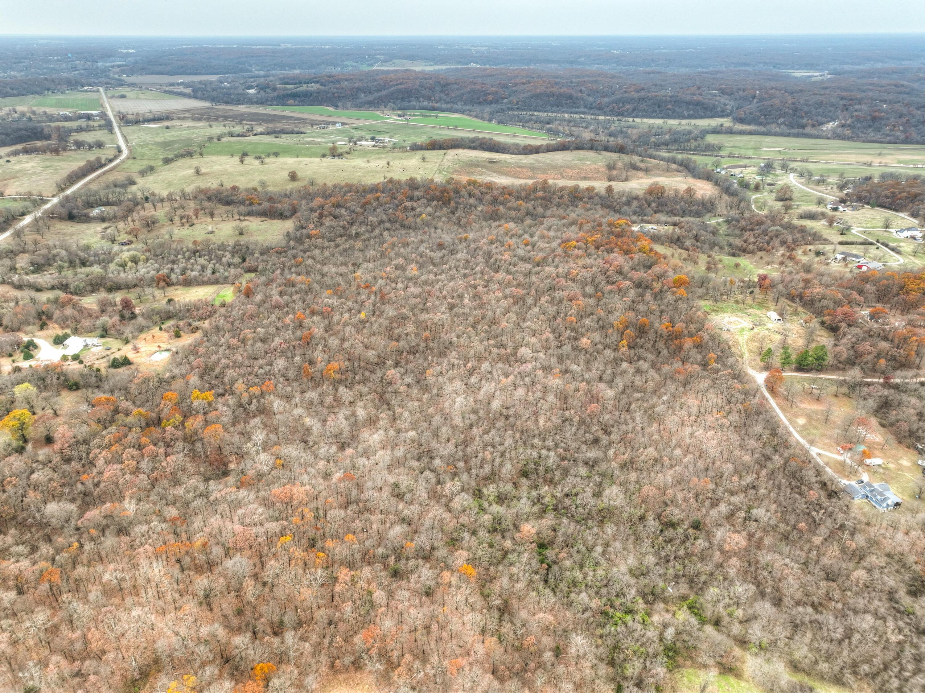 Xxx Highway 60 Property Photo 6