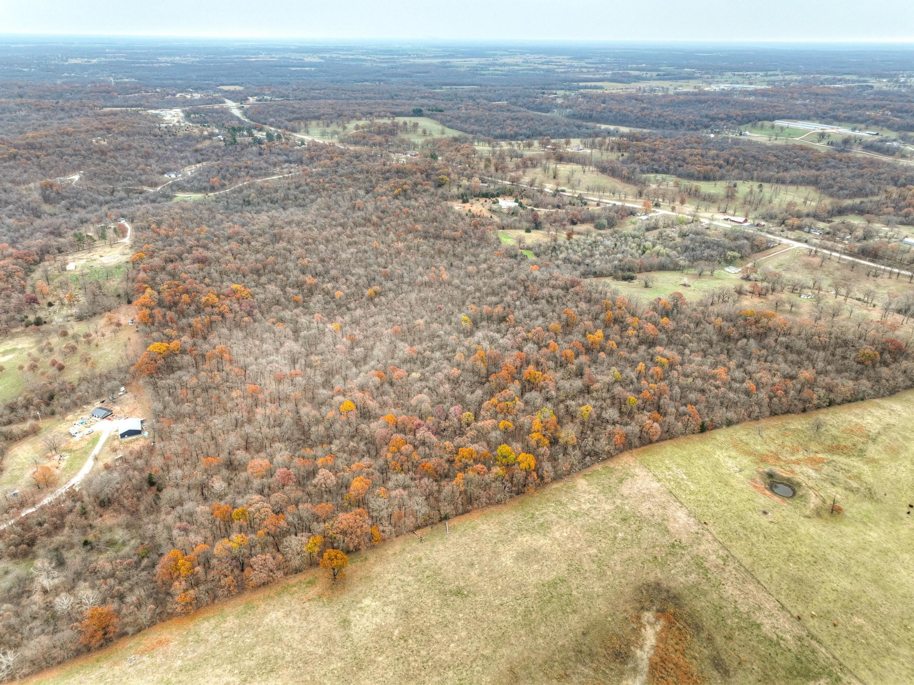 Xxx Highway 60 Property Photo 7