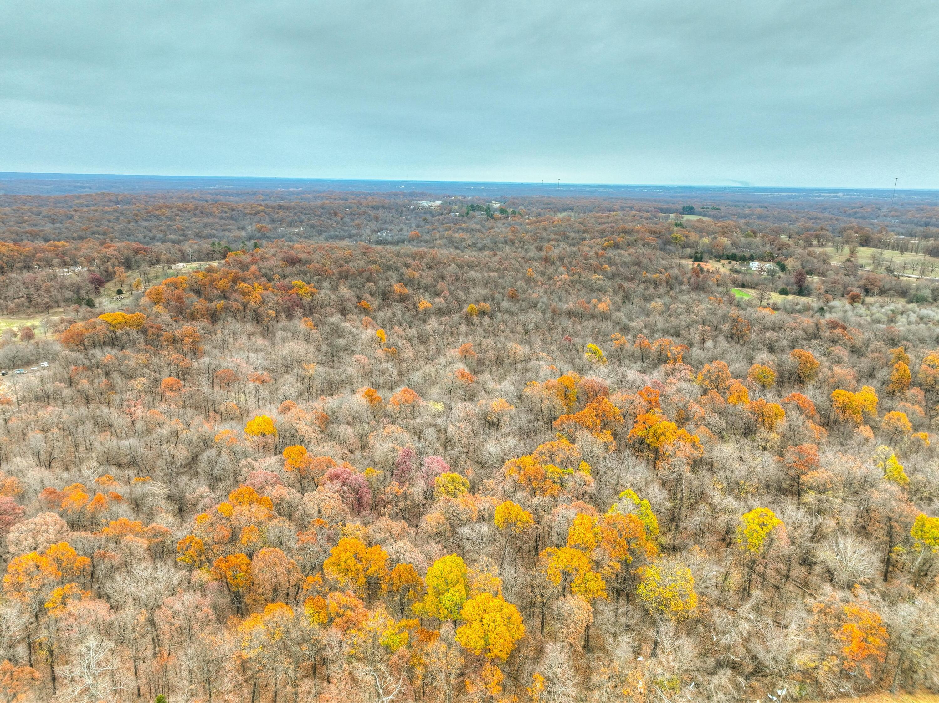 Xxx Highway 60 Property Photo 9