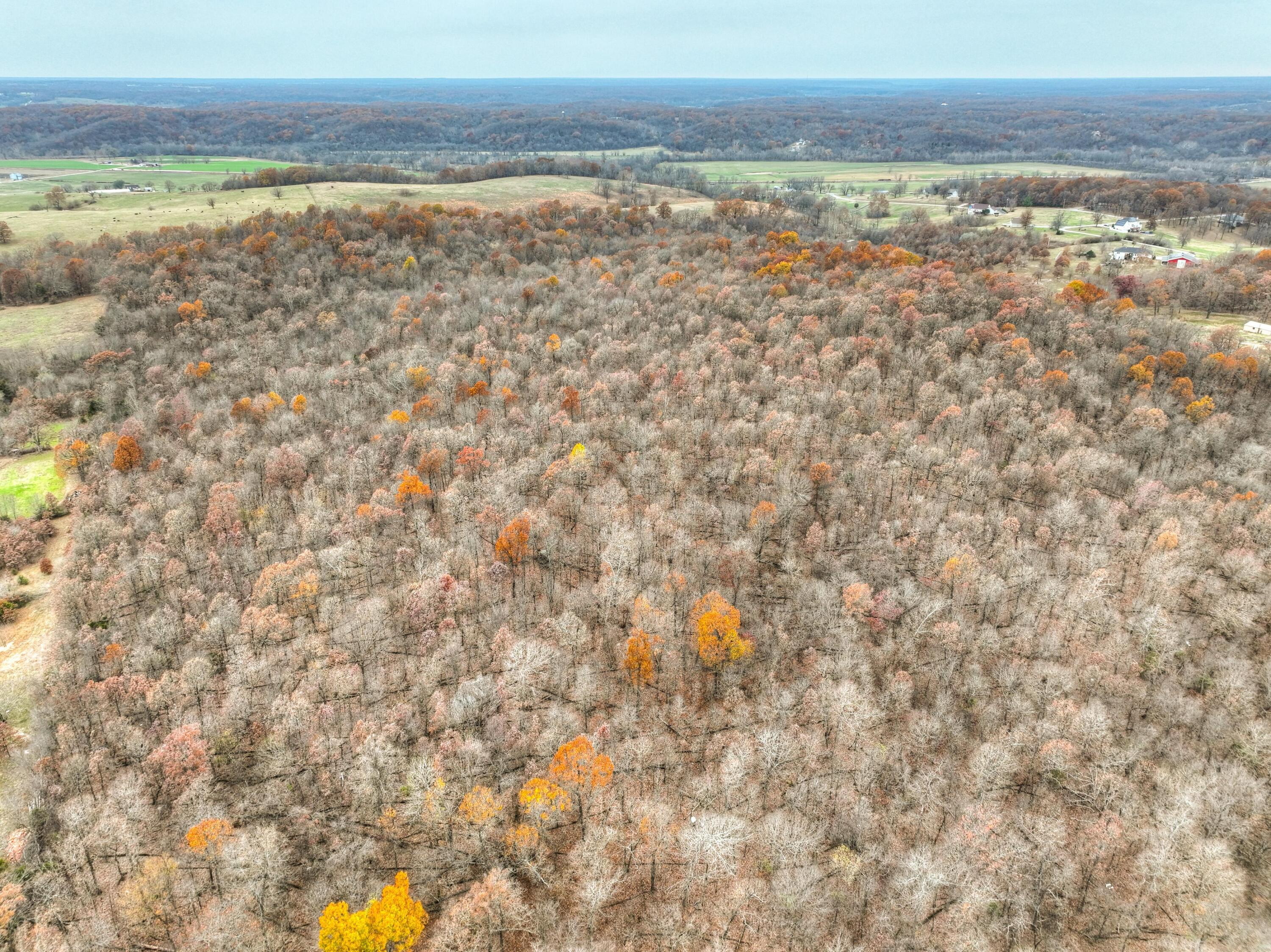 Xxx Highway 60 Property Photo 10