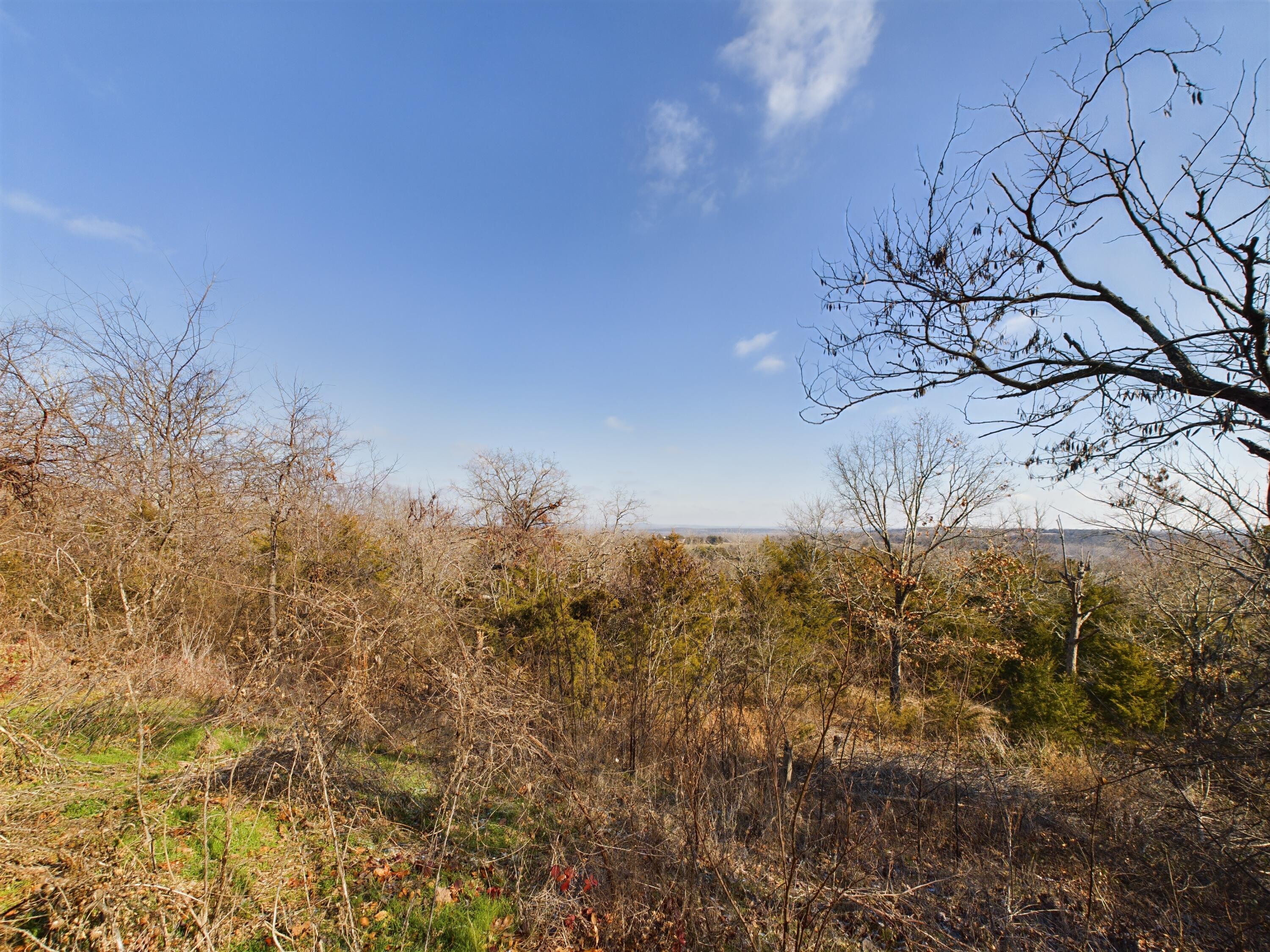 21771 Stonington Road North Property Photo 7