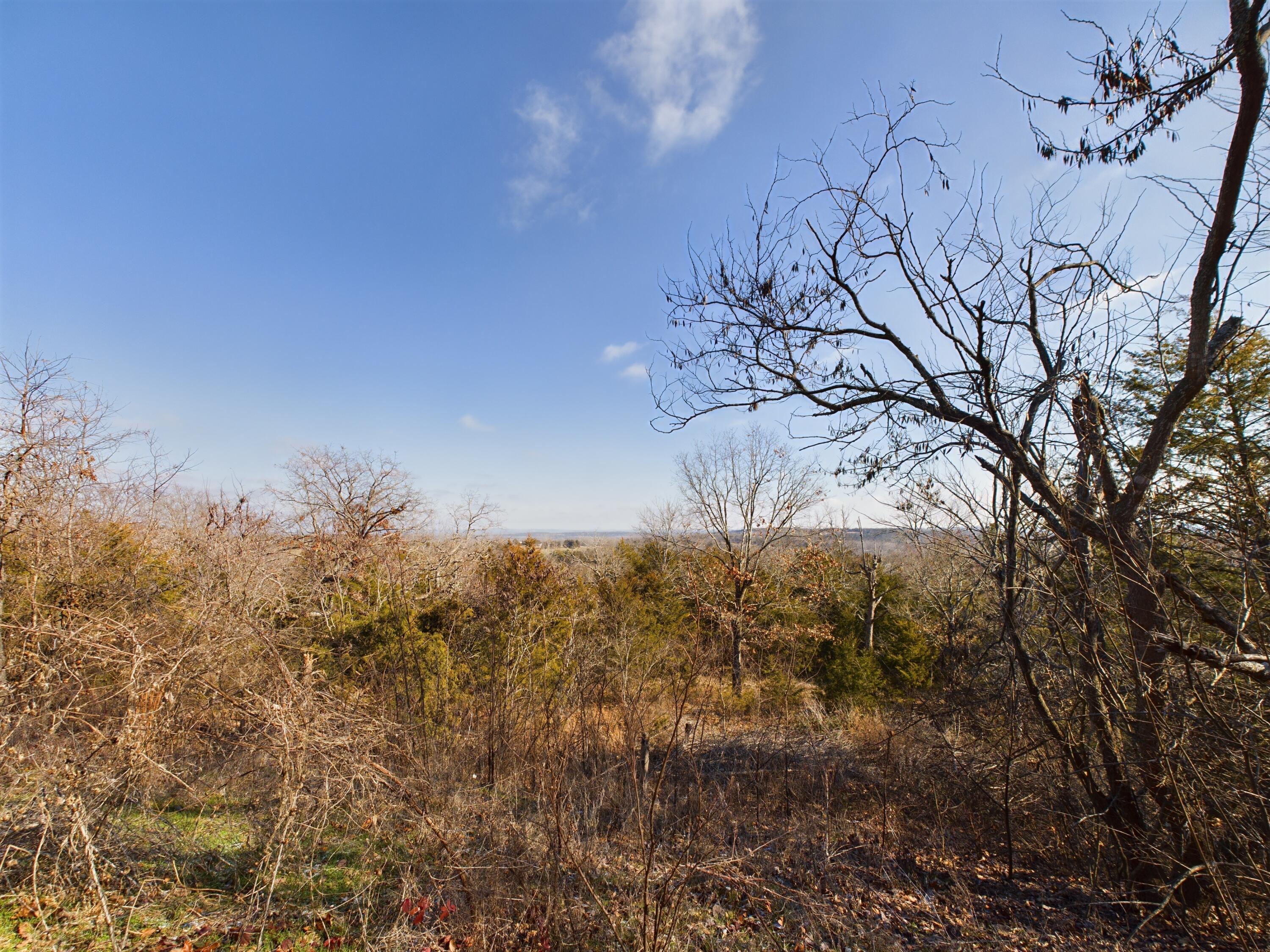 21771 Stonington Road North Property Photo 8