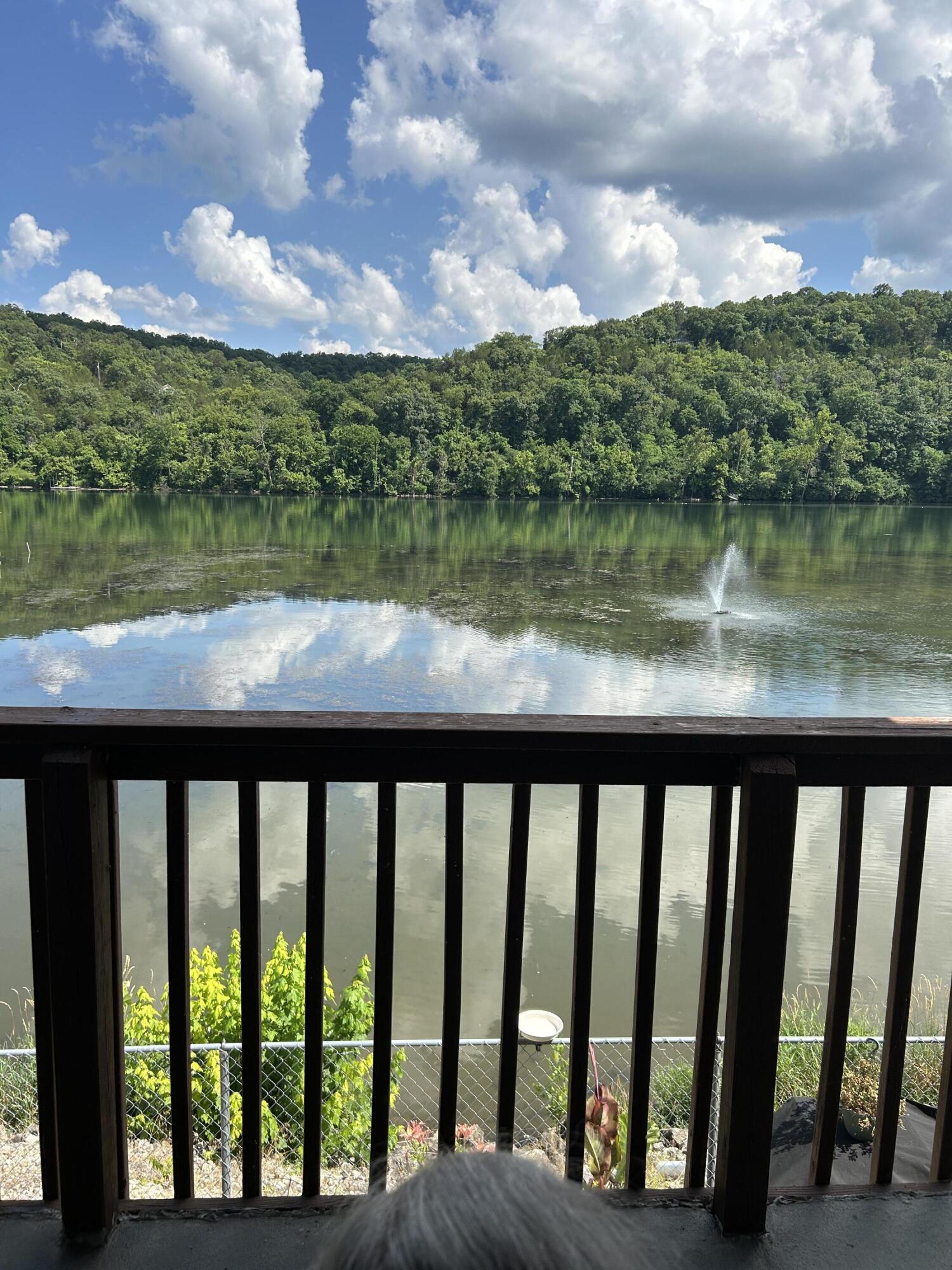 2529 State Highway 176 Property Photo 3