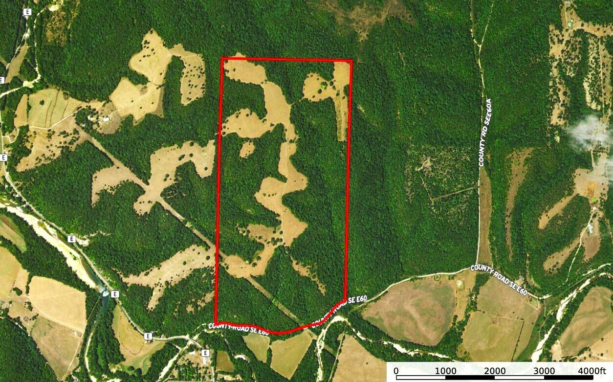 258 Acres Mikes Creek Road Property Photo 2