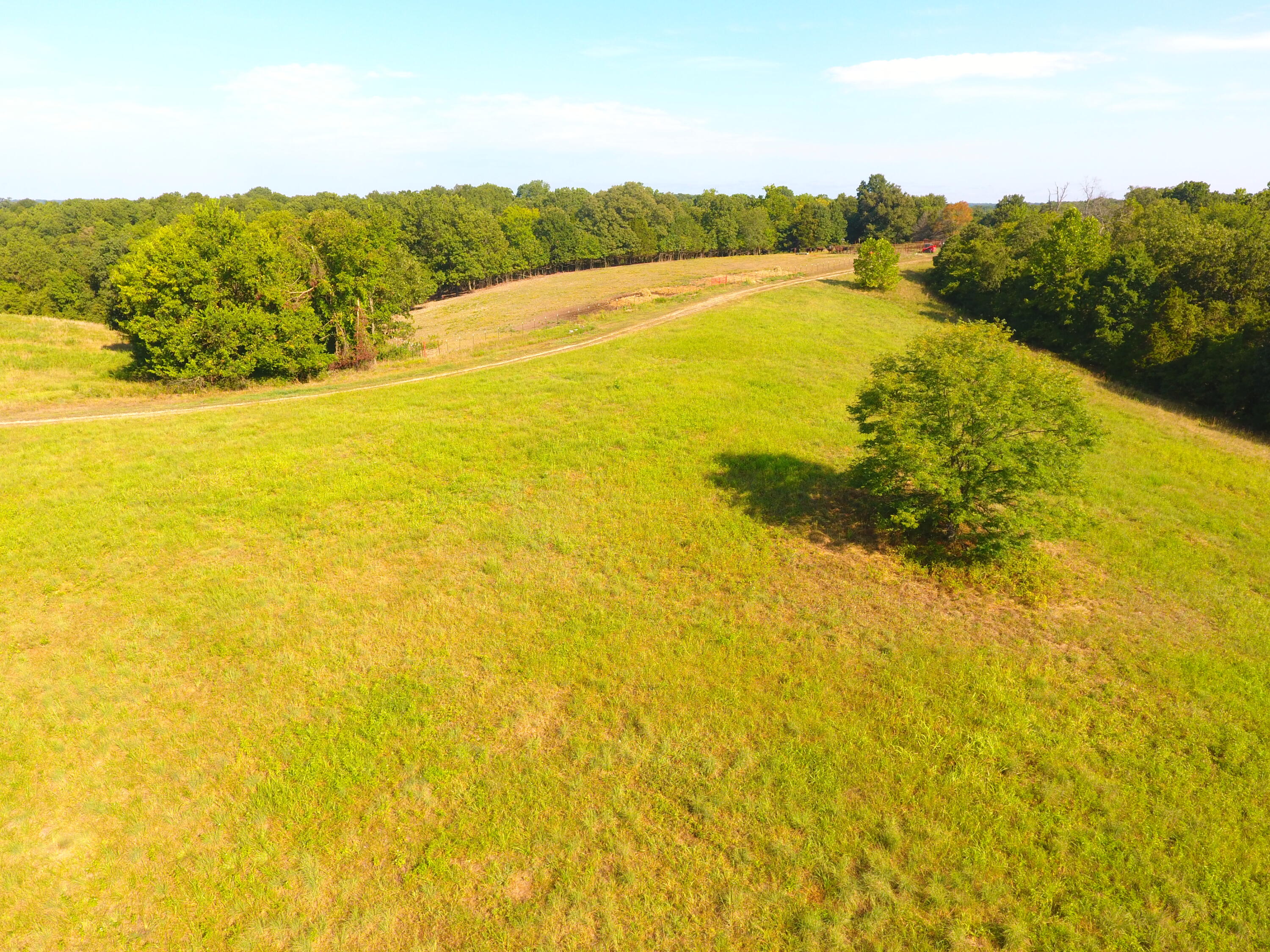 258 Acres Mikes Creek Road Property Photo 3