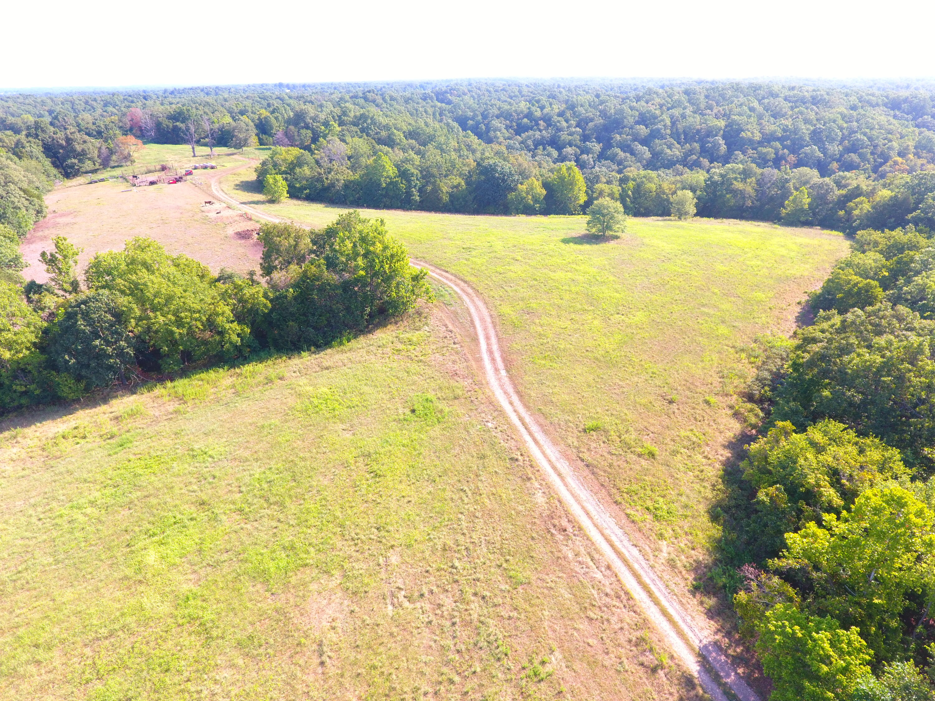 258 Acres Mikes Creek Road Property Photo 5