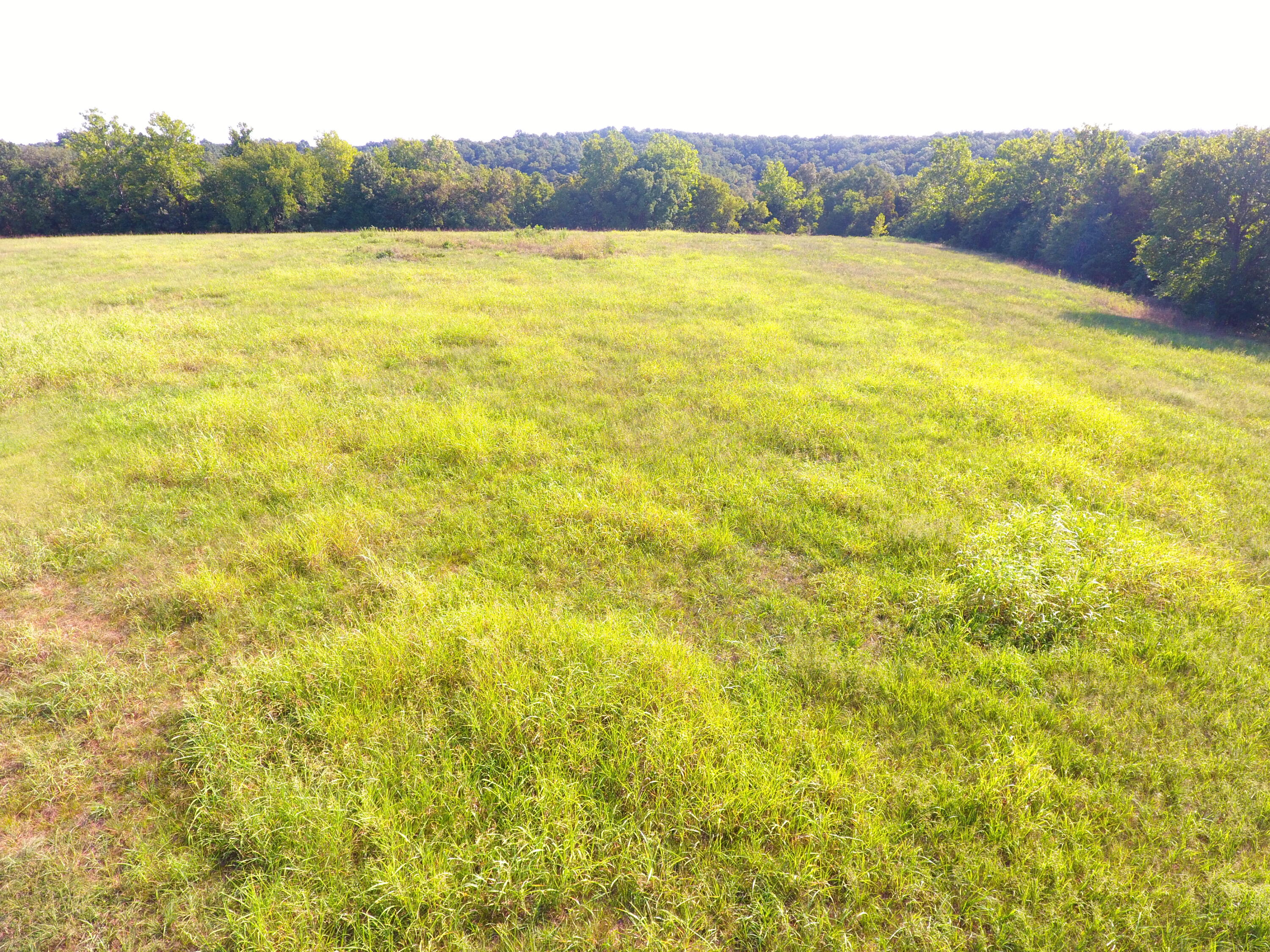 258 Acres Mikes Creek Road Property Photo 6