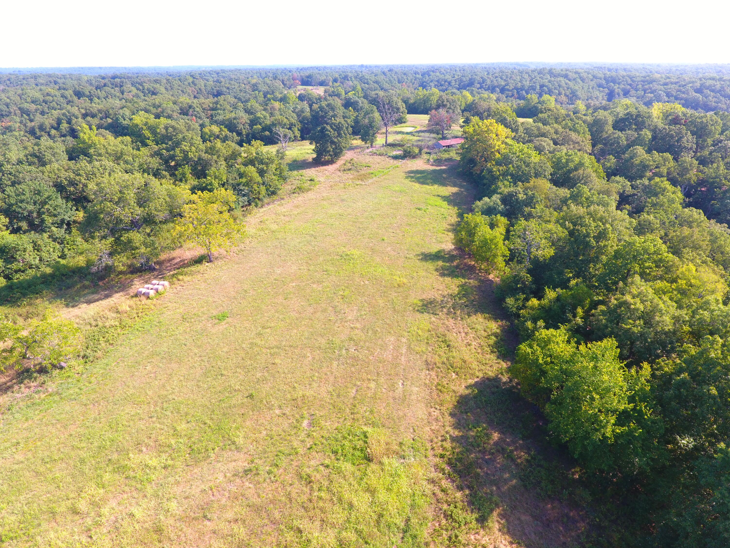258 Acres Mikes Creek Road Property Photo 7