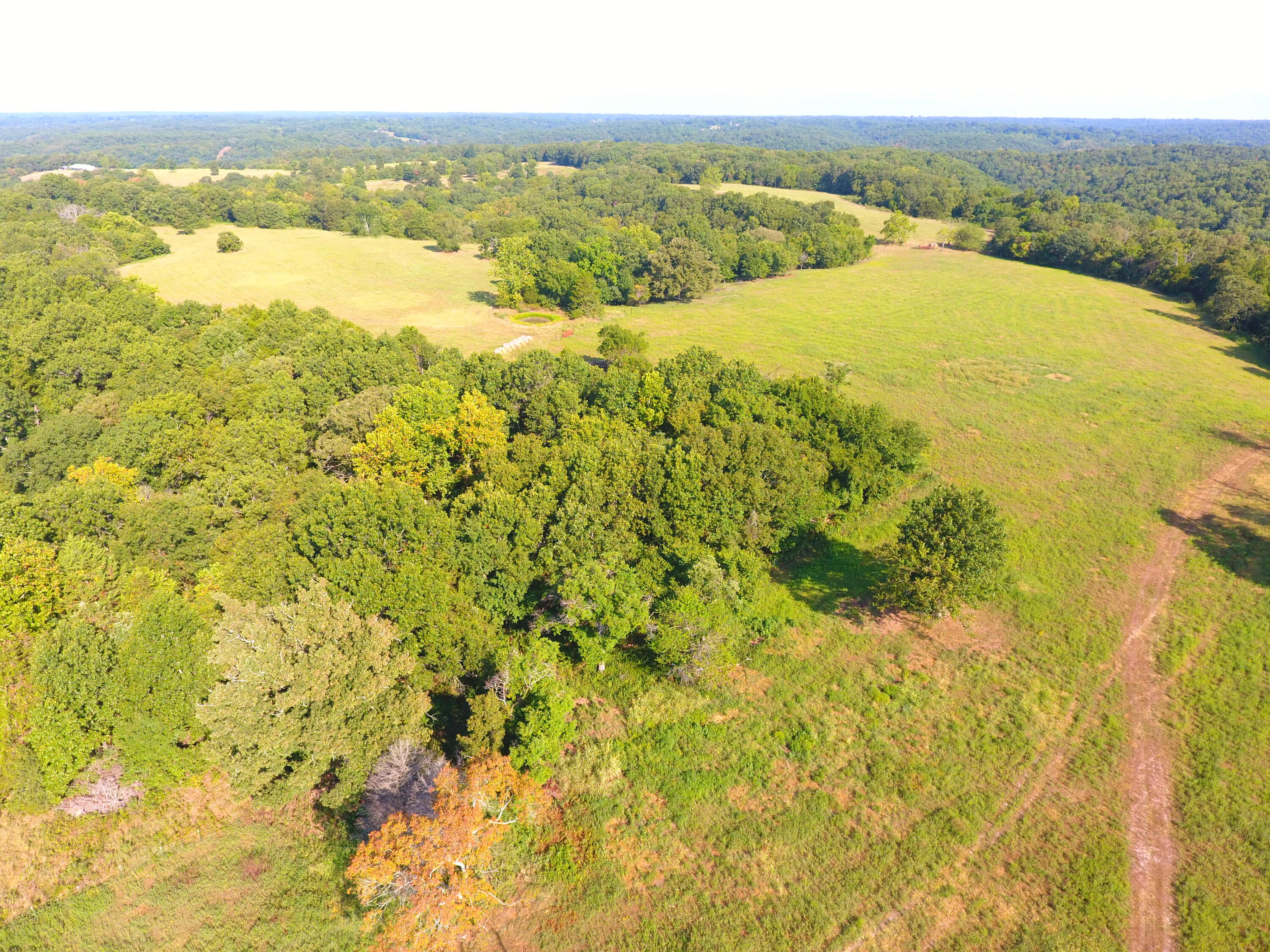 258 Acres Mikes Creek Road Property Photo 9