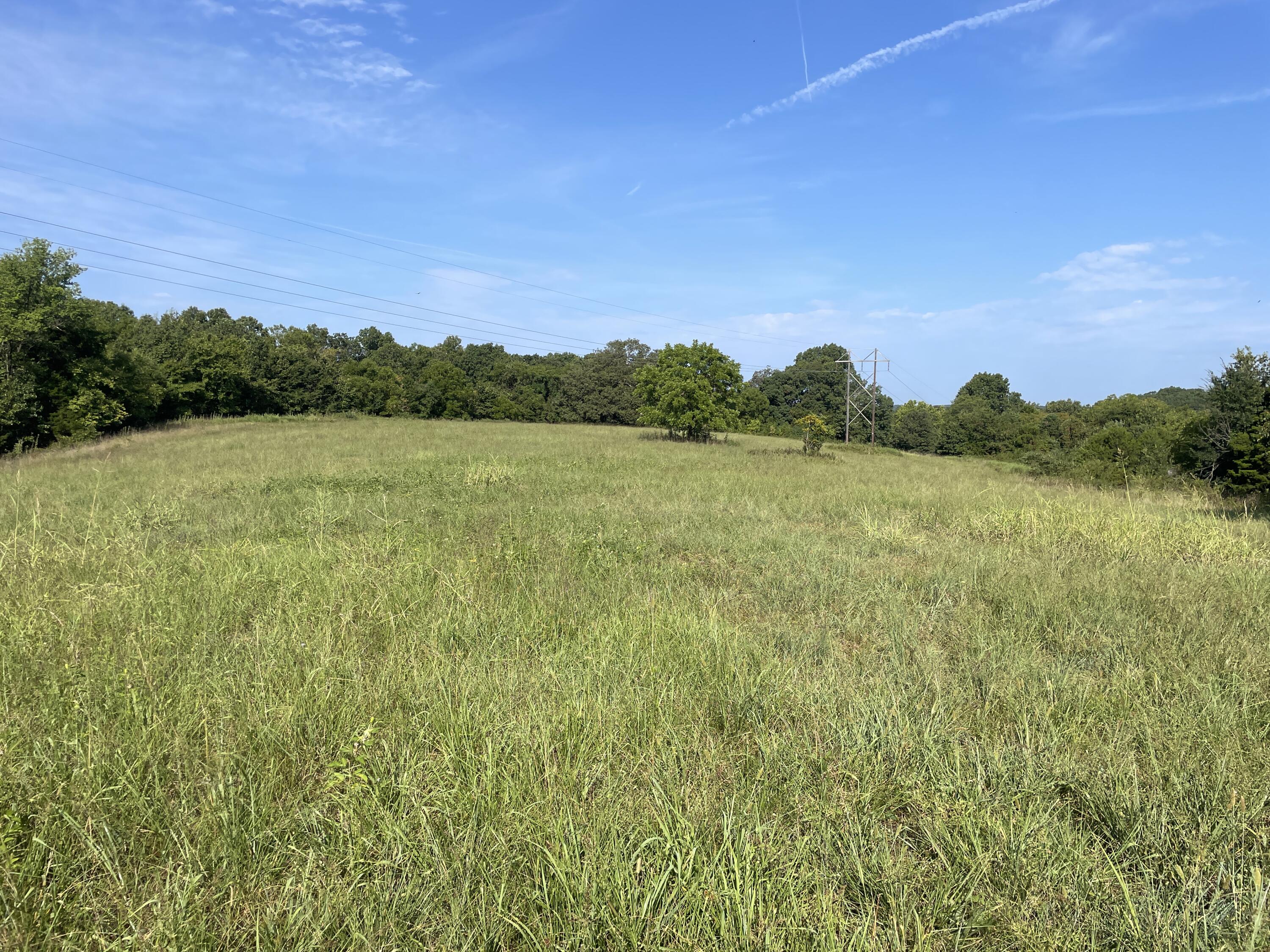 258 Acres Mikes Creek Road Property Photo 10