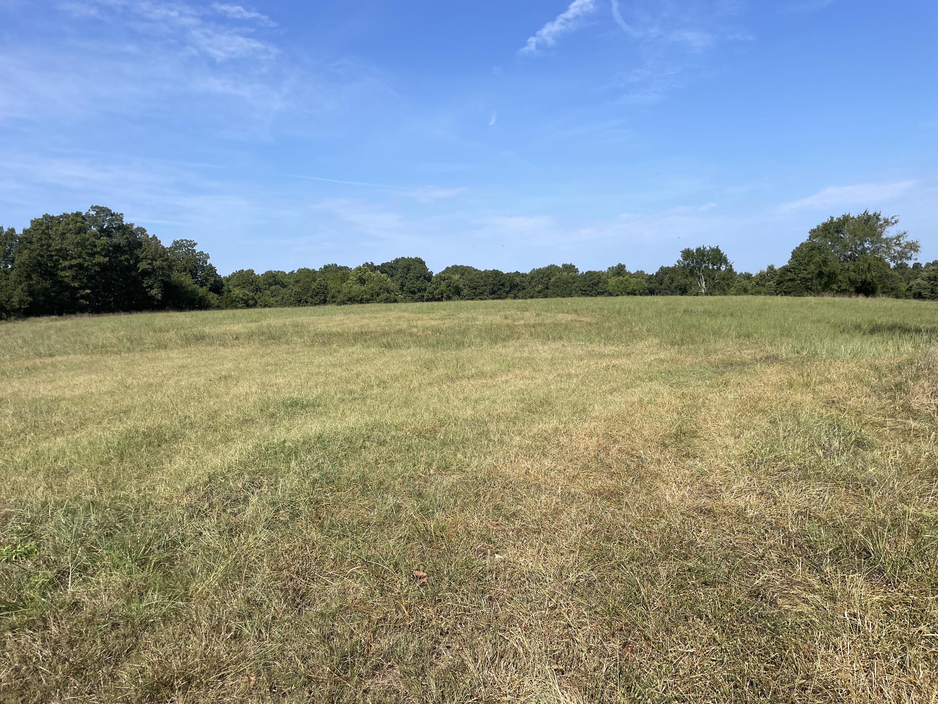 258 Acres Mikes Creek Road Property Photo 11