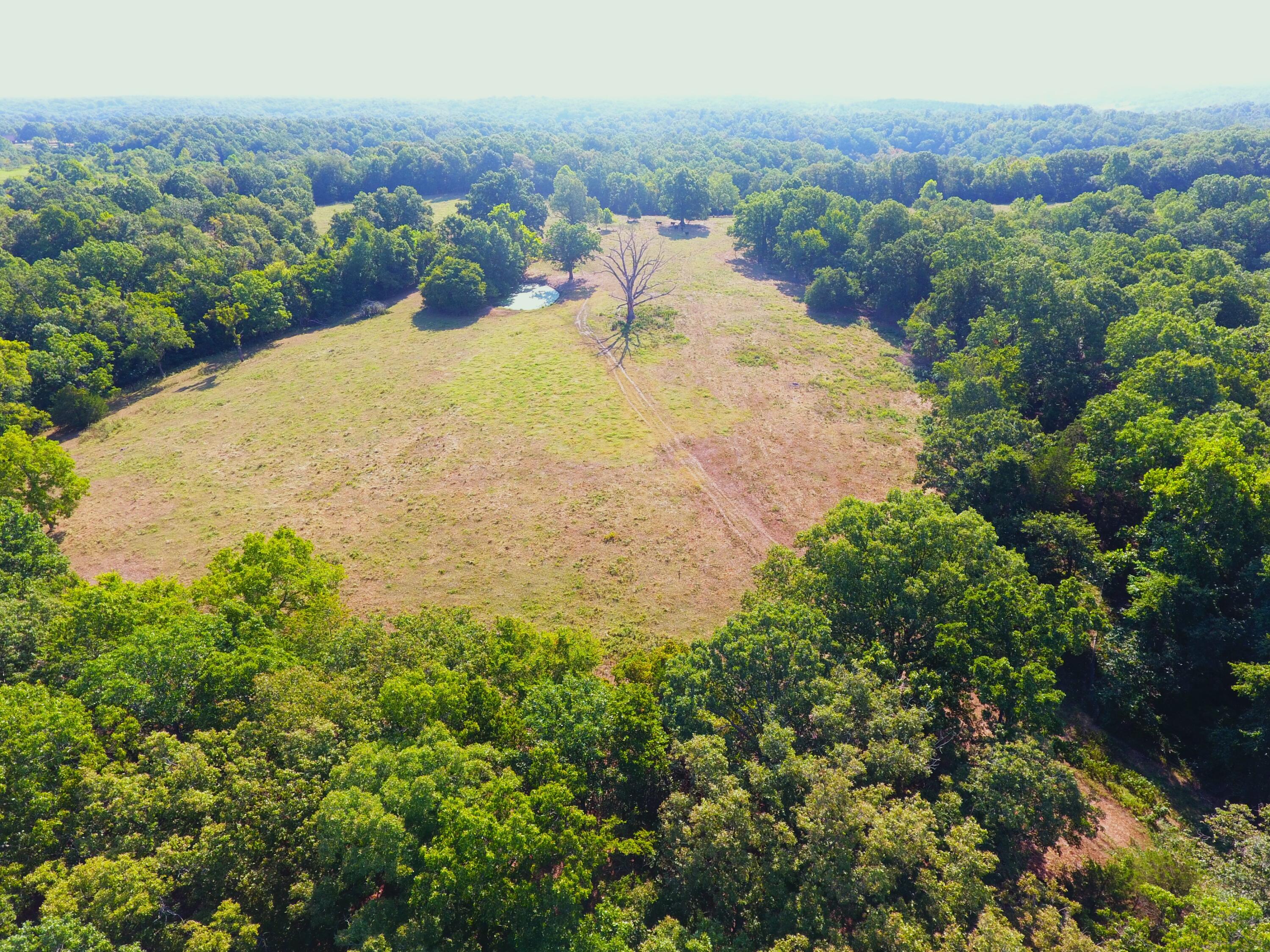 258 Acres Mikes Creek Road Property Photo 12