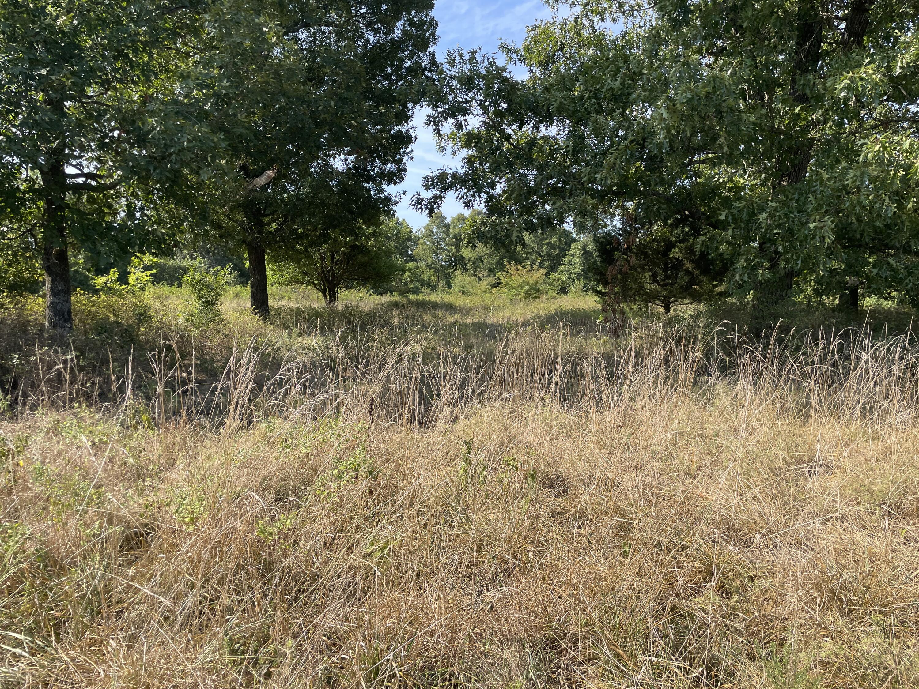 258 Acres Mikes Creek Road Property Photo 13