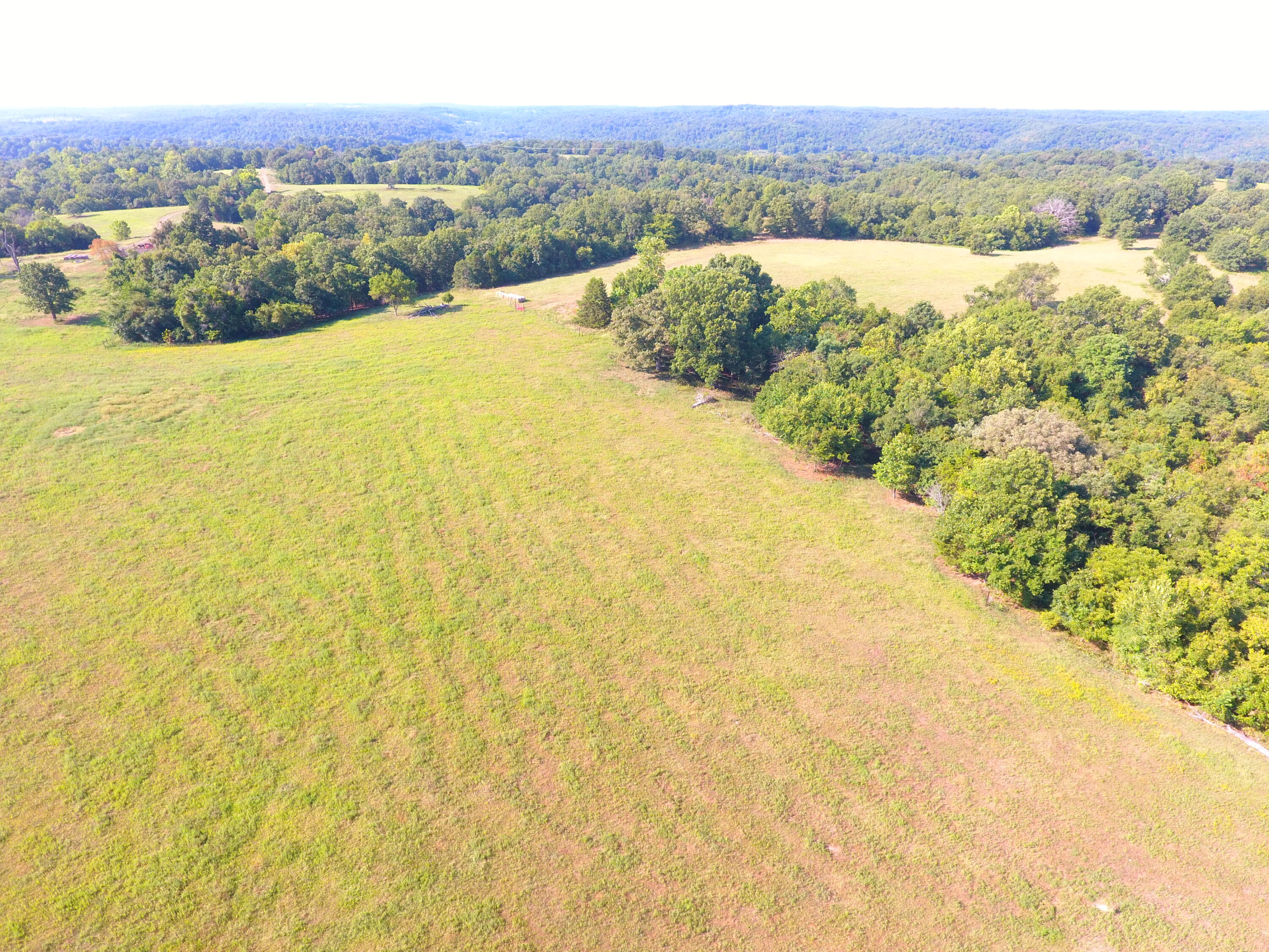 258 Acres Mikes Creek Road Property Photo 14