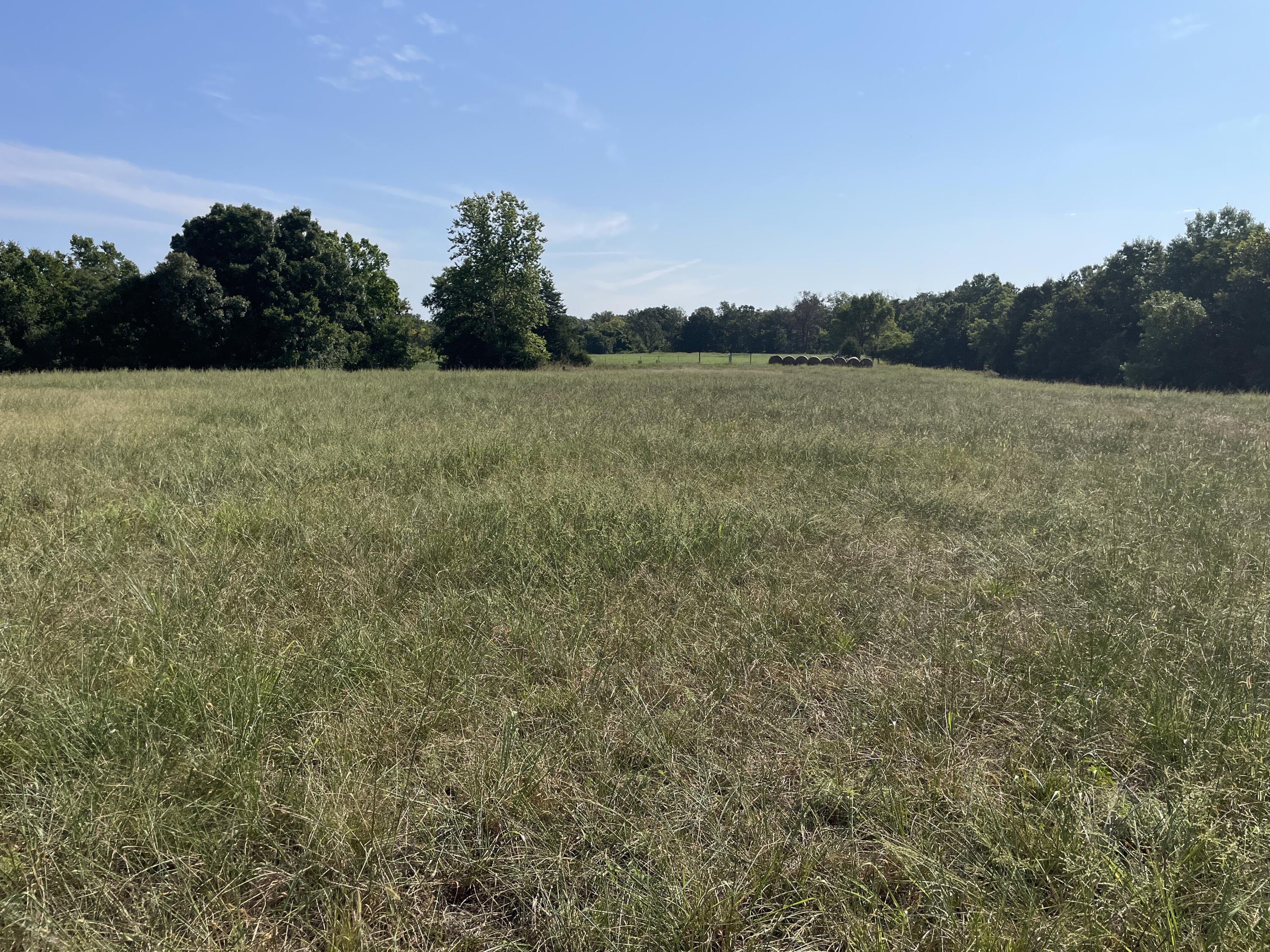 258 Acres Mikes Creek Road Property Photo 17