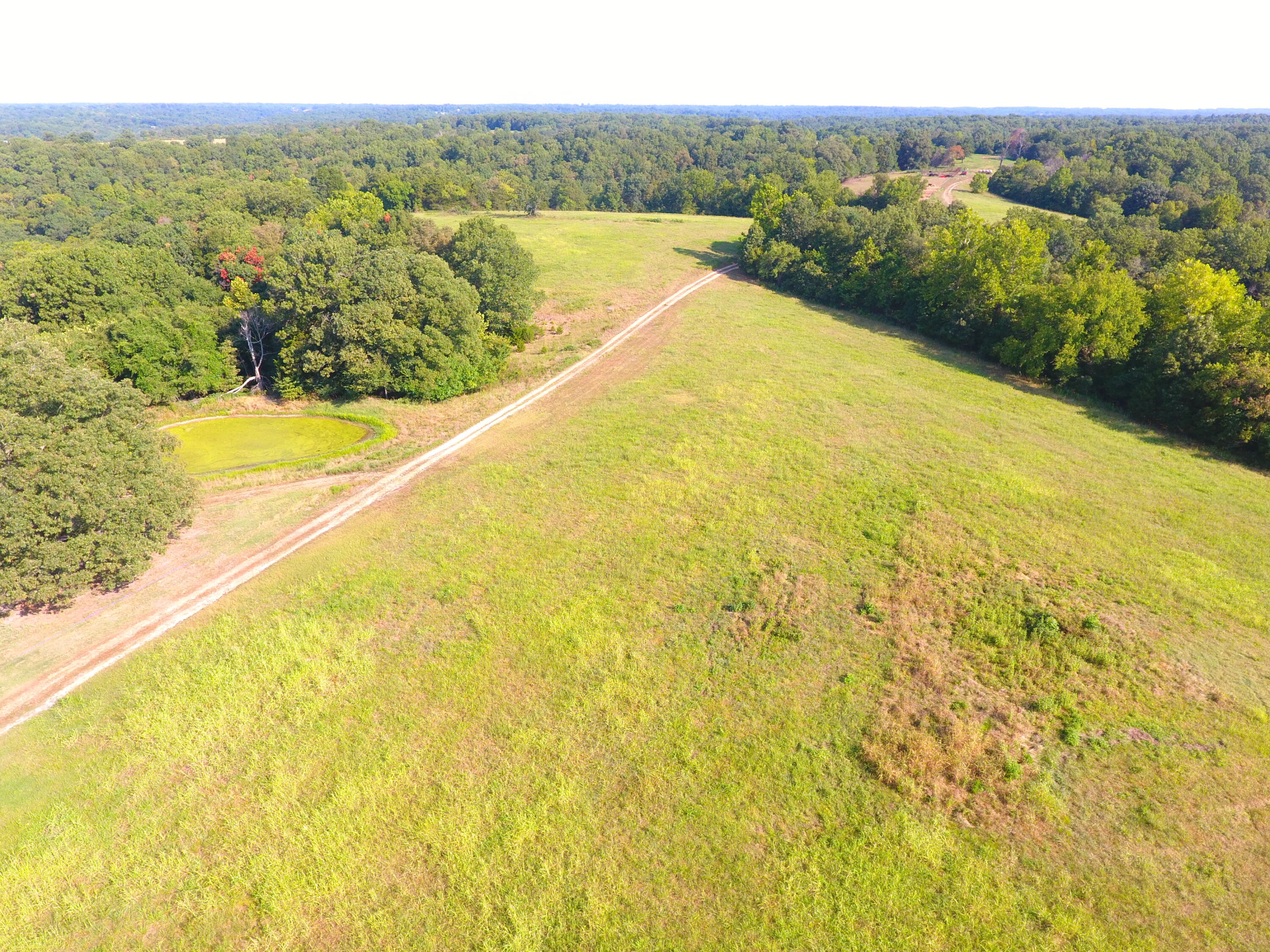 258 Acres Mikes Creek Road Property Photo 18