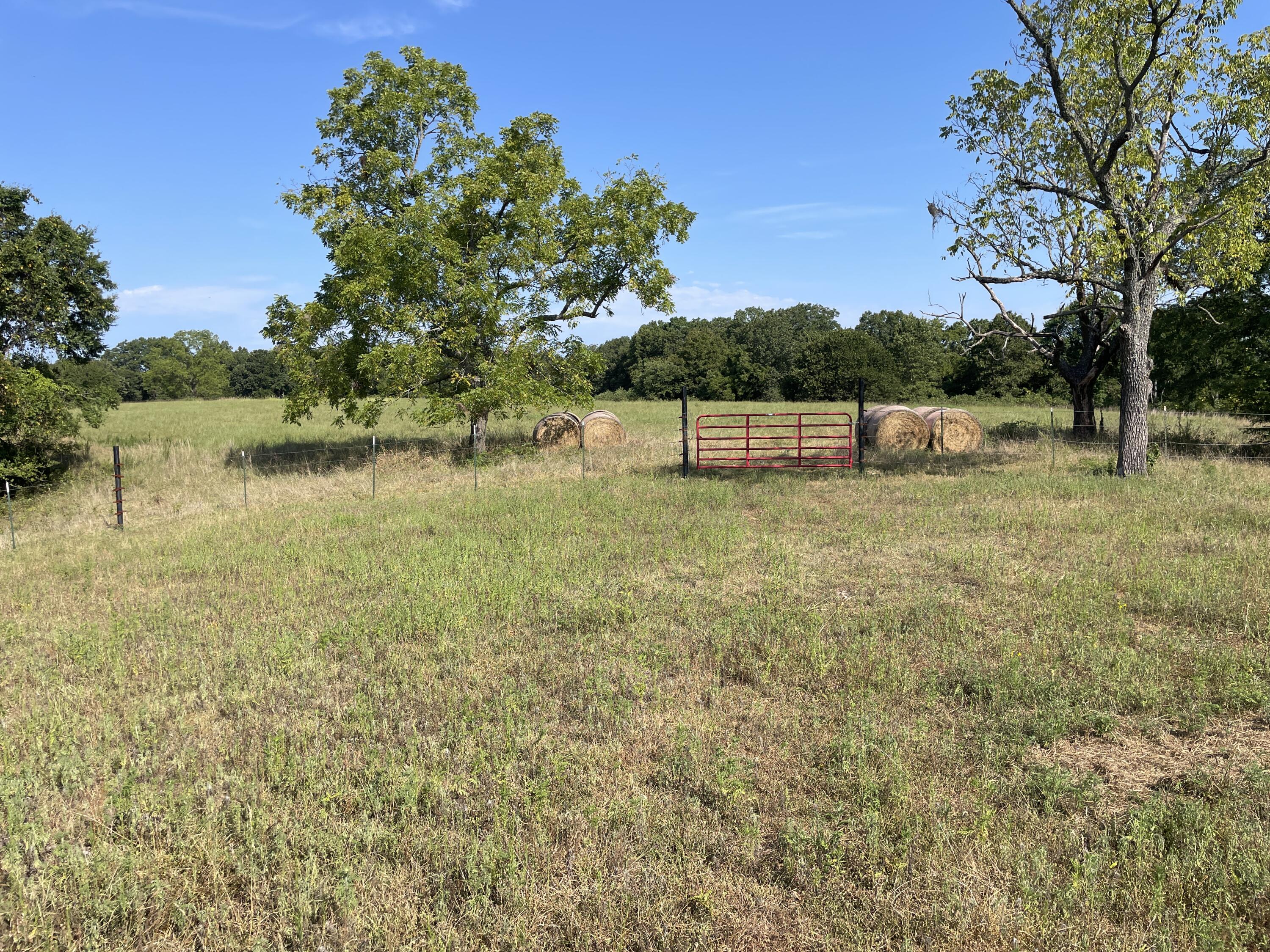 258 Acres Mikes Creek Road Property Photo 19