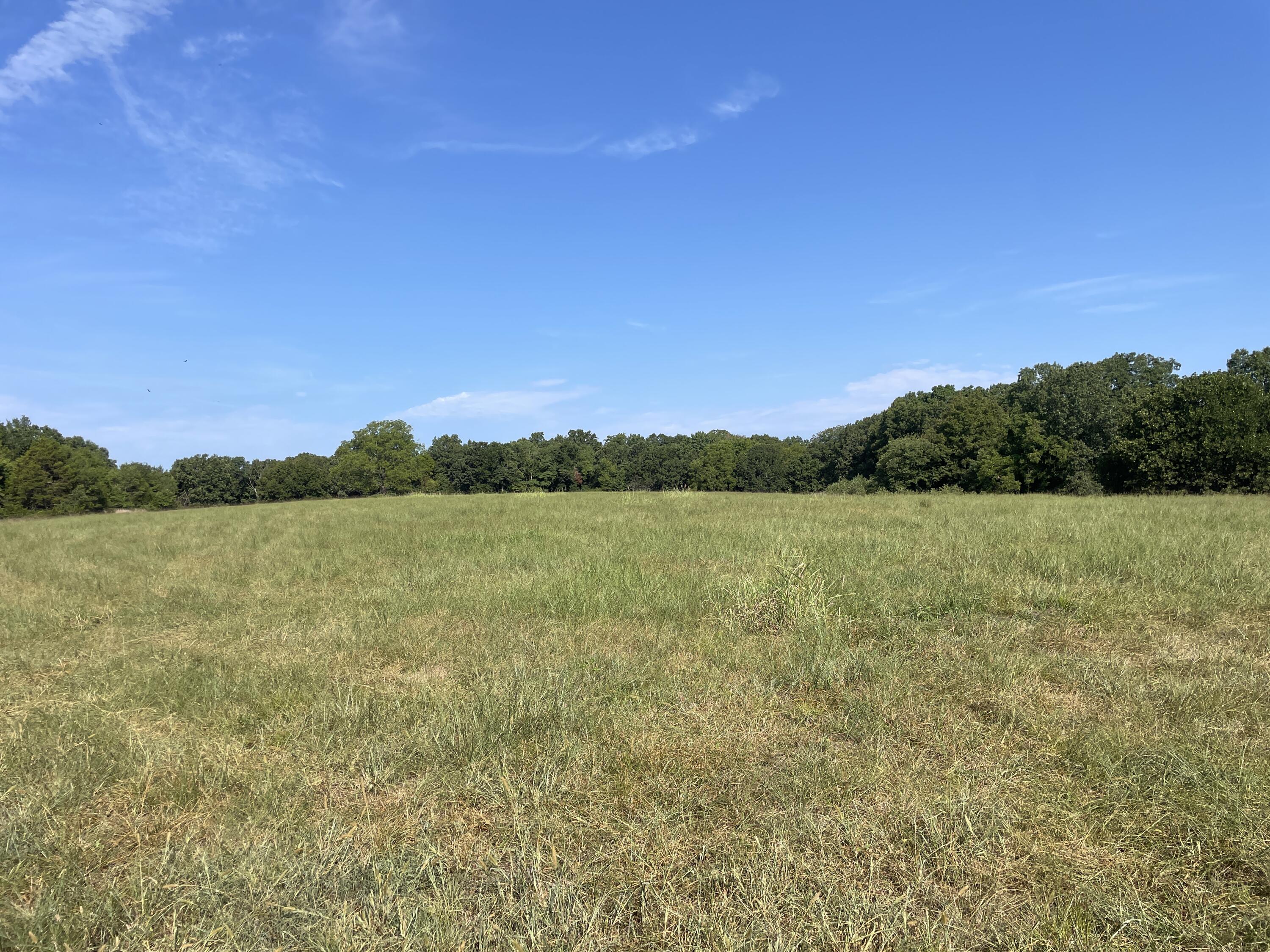 258 Acres Mikes Creek Road Property Photo 20