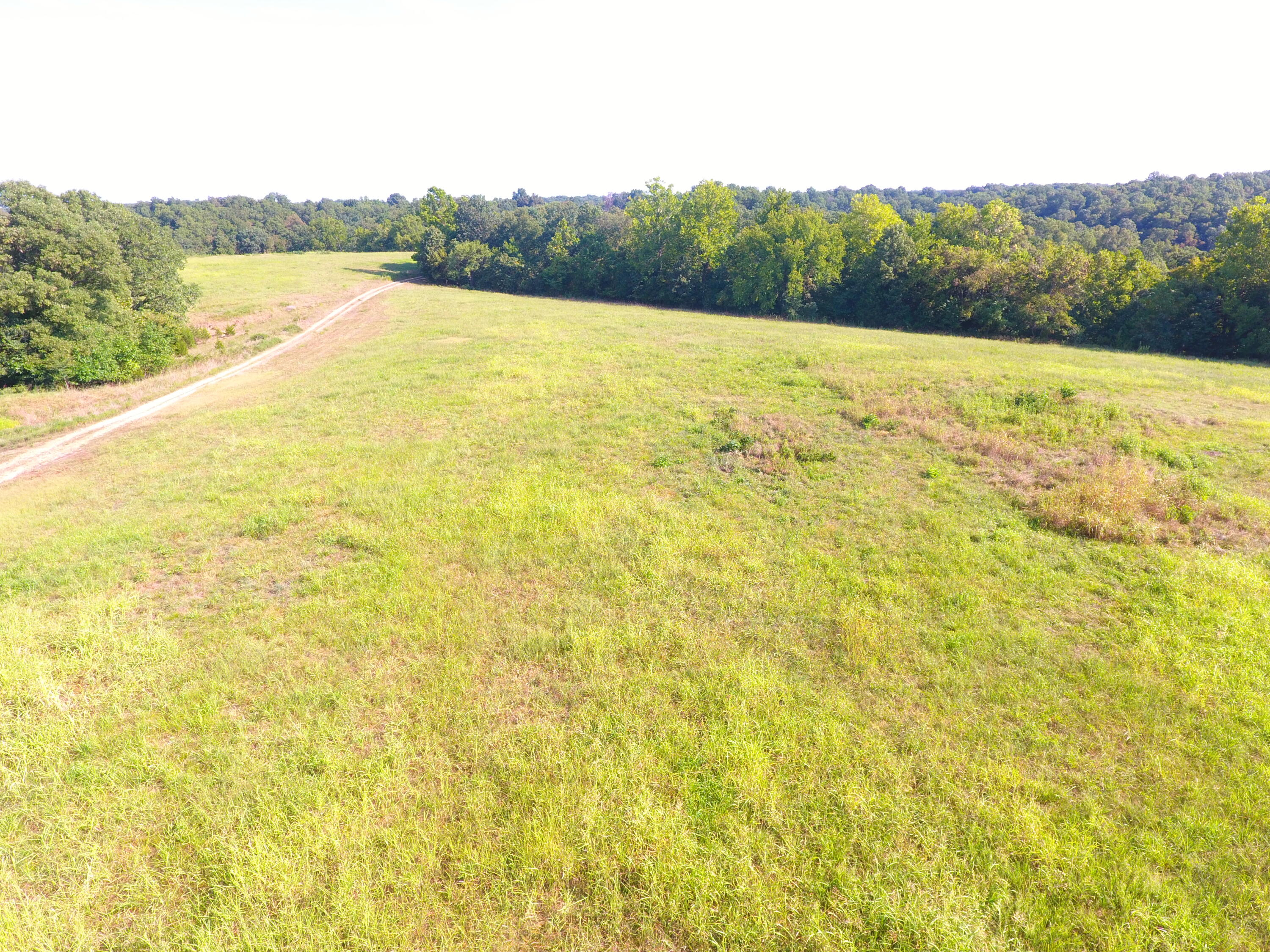 258 Acres Mikes Creek Road Property Photo 21