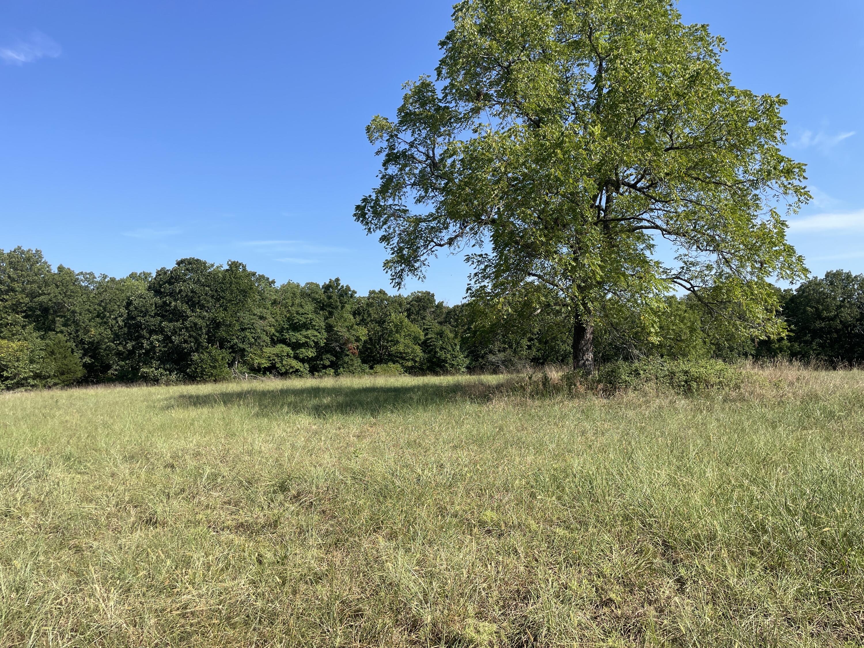 258 Acres Mikes Creek Road Property Photo 22
