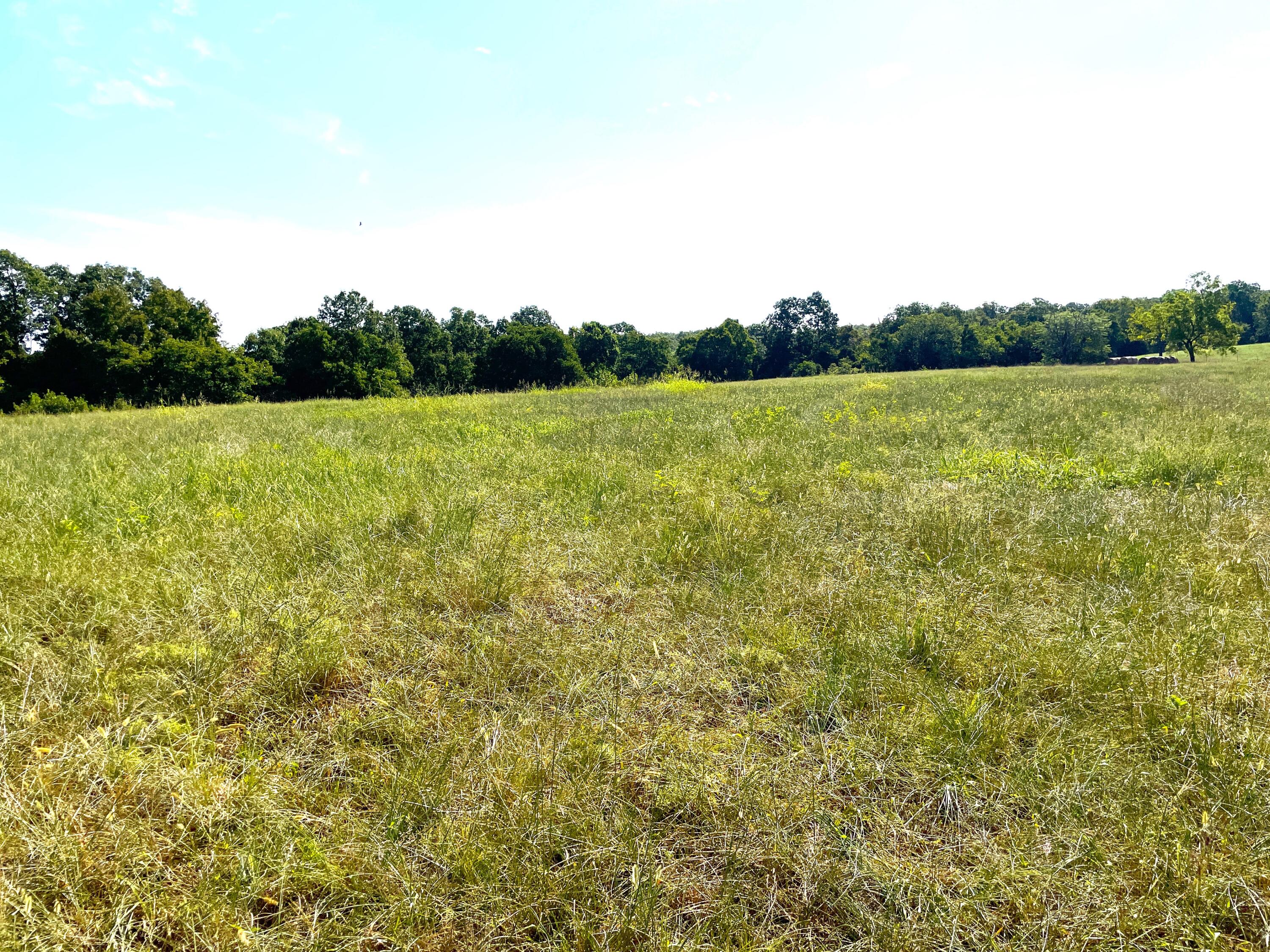 258 Acres Mikes Creek Road Property Photo 24