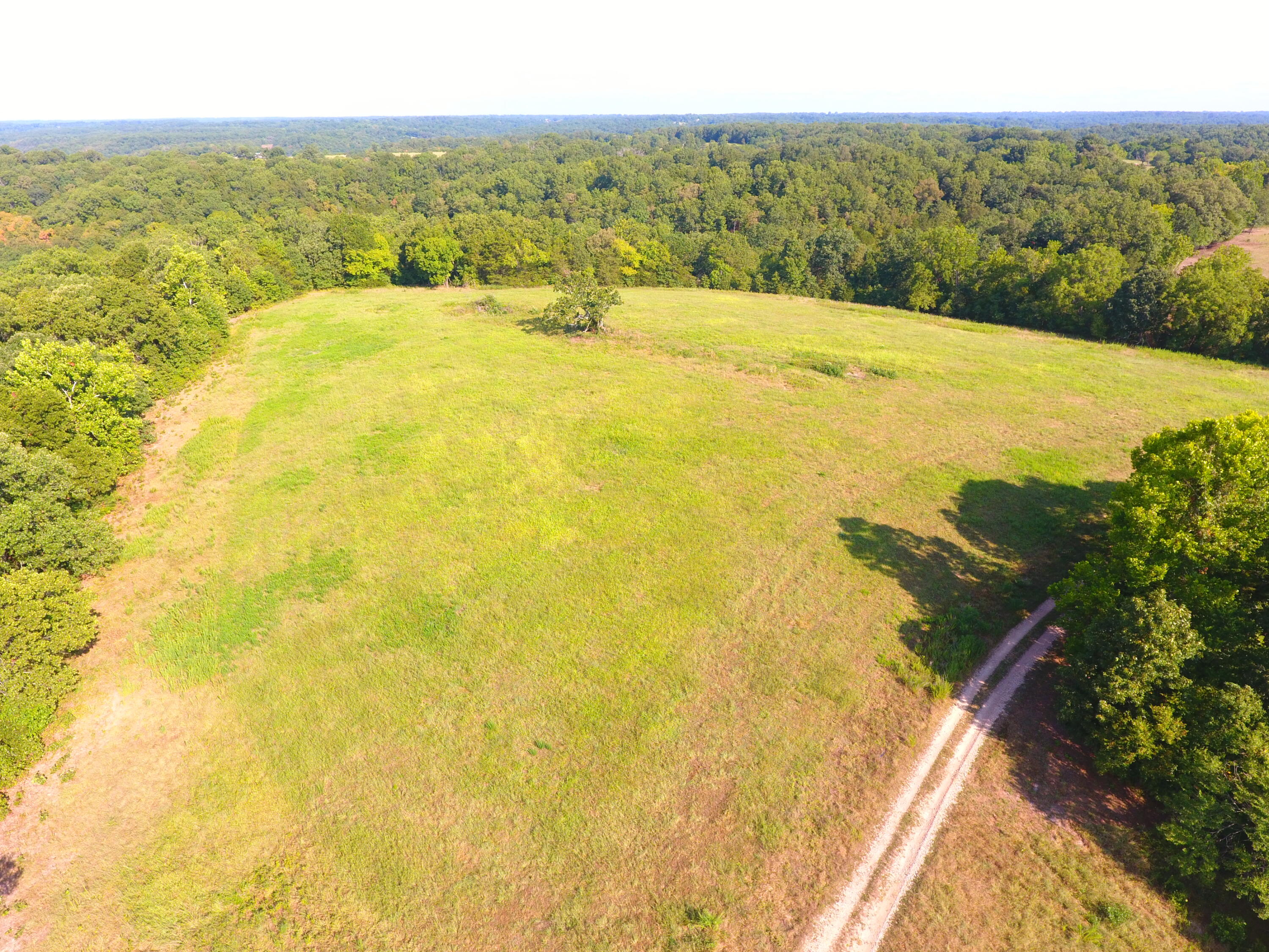 258 Acres Mikes Creek Road Property Photo 25