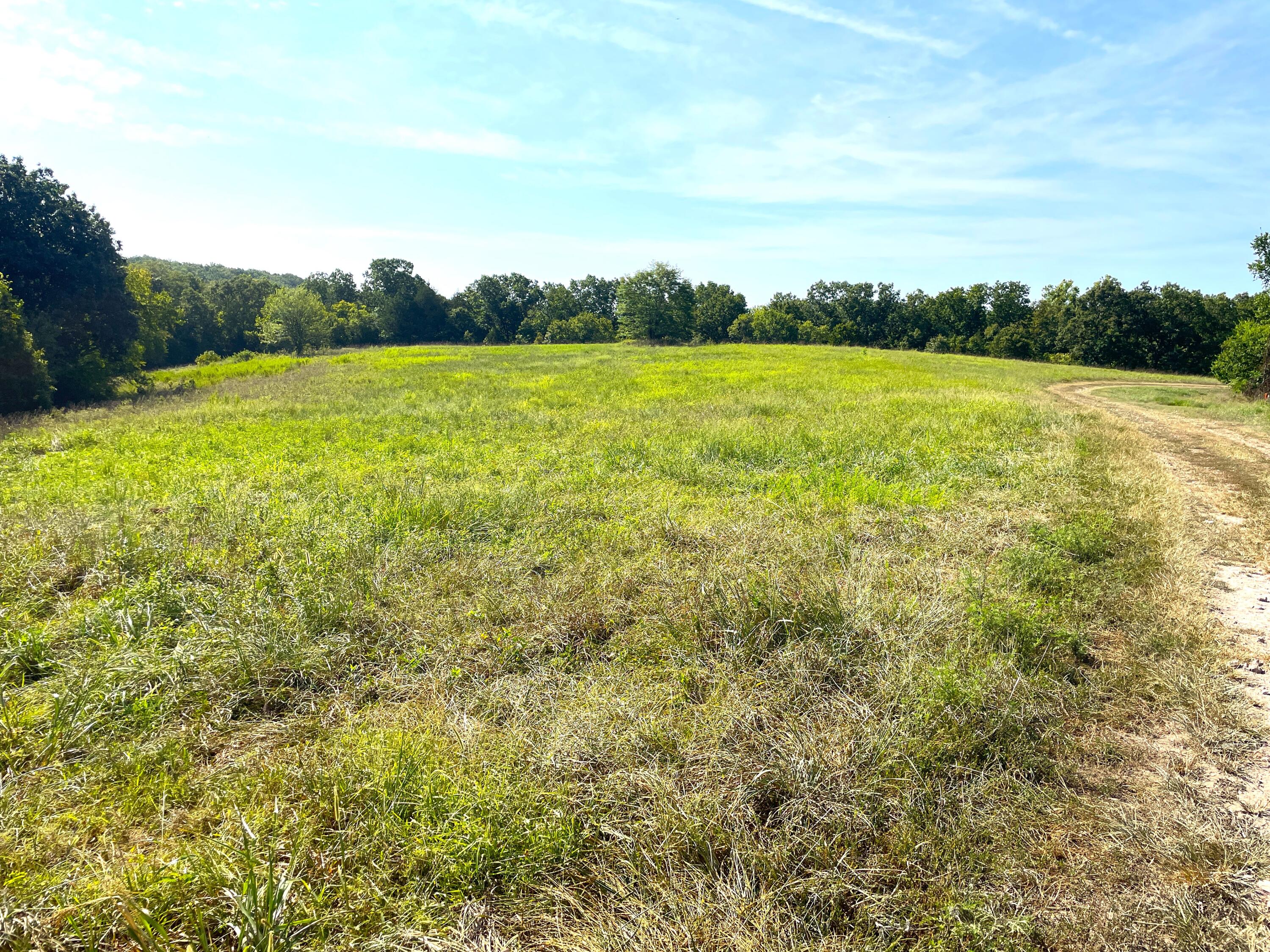 258 Acres Mikes Creek Road Property Photo 26